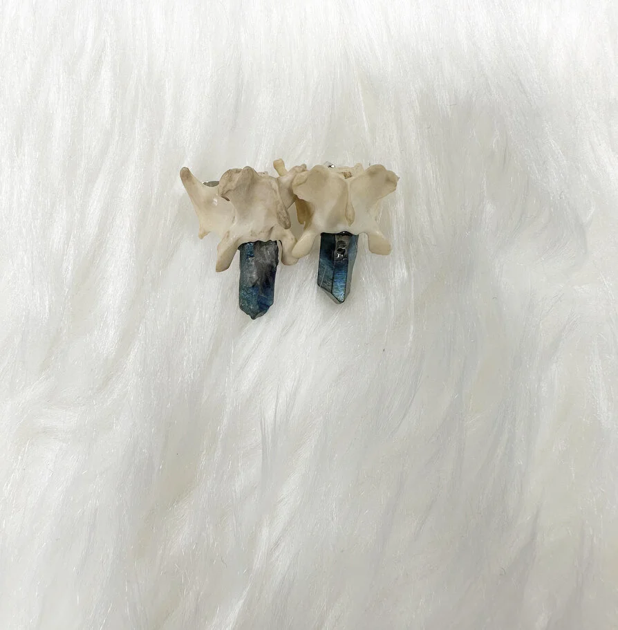 42E5F6E1-FC23-4894-811C-03159739FDB0