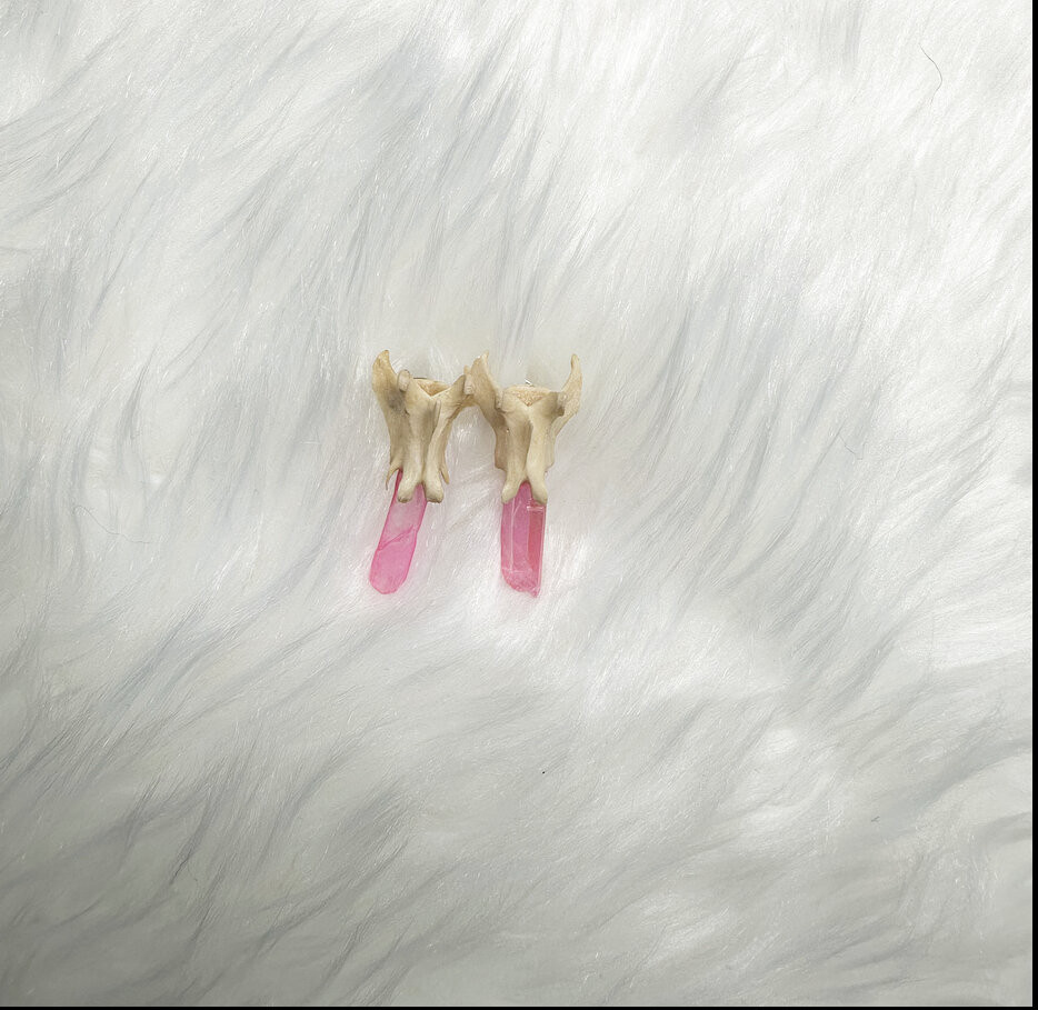 E43C1D52-9EA4-48DC-9012-5FEC26A482D0