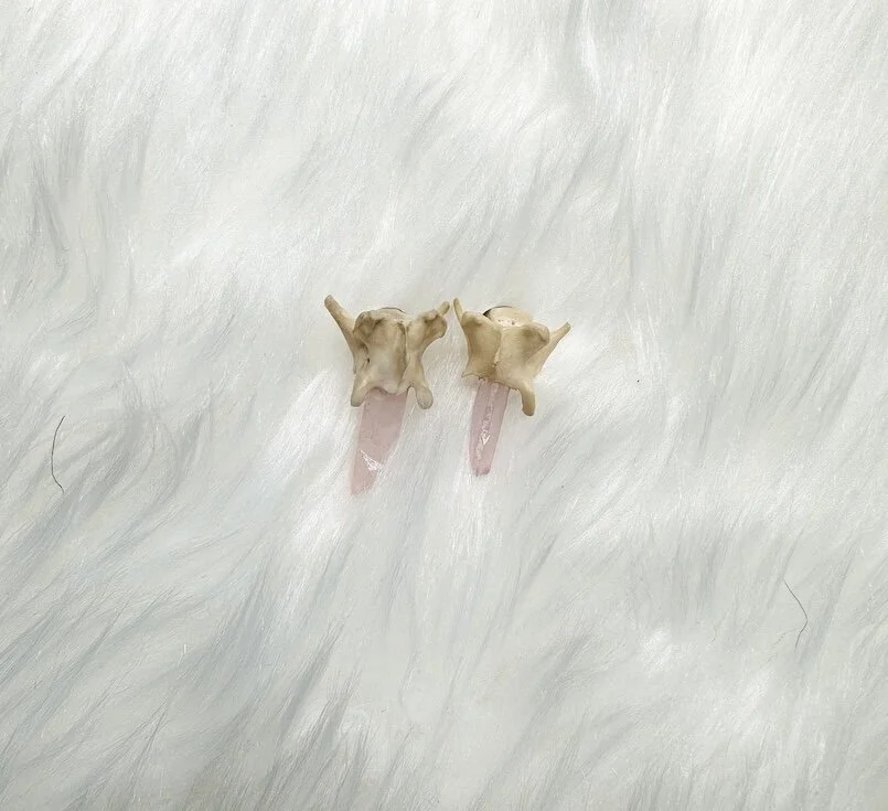 1C4ACF45-AC07-41C5-B338-F60A82281216