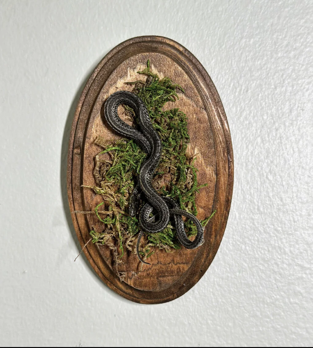 07B0852E-A66A-4F1F-BCAF-FDD57EABB4BE