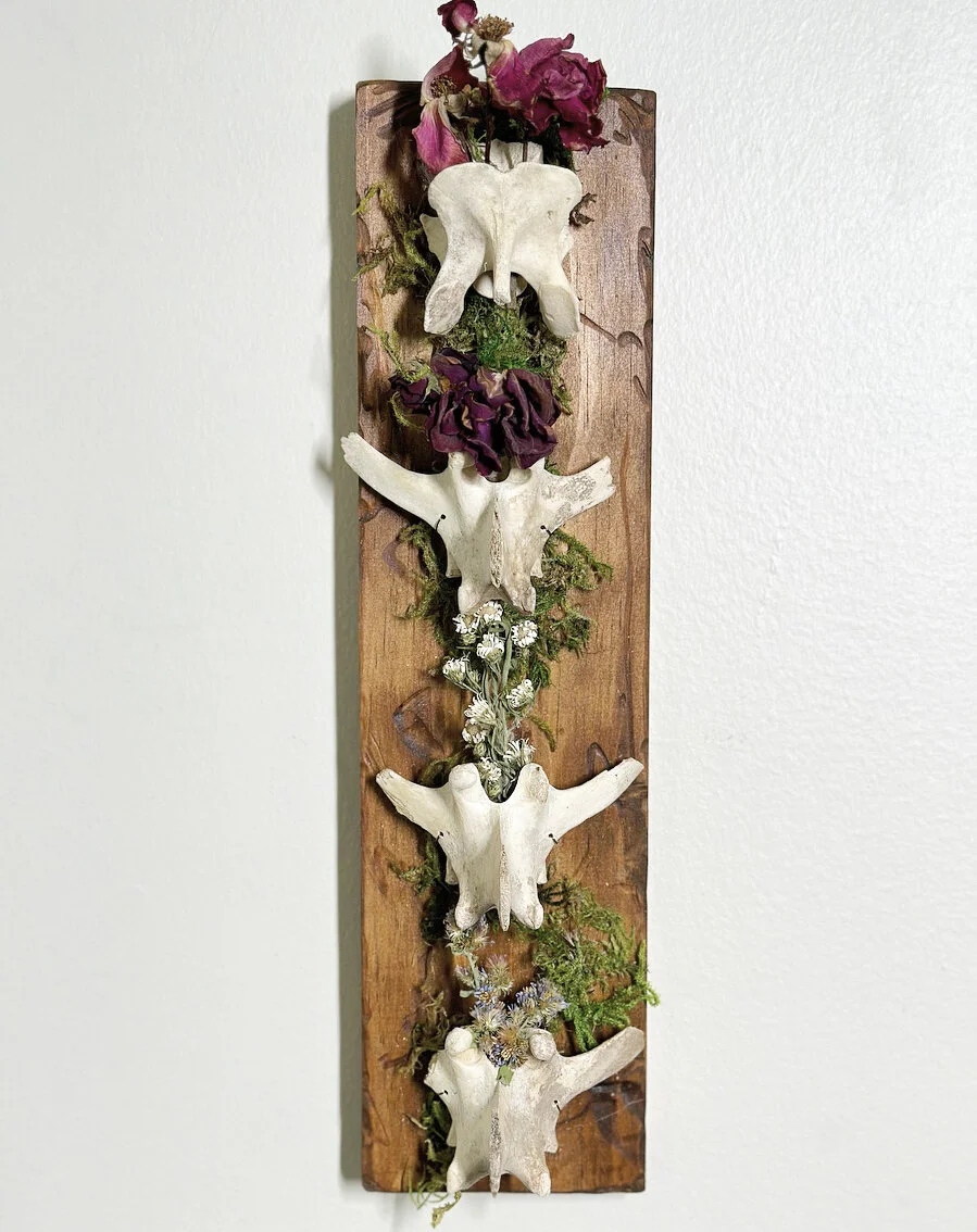 1F80D11E-FC9C-4957-908F-C000AD86AA62