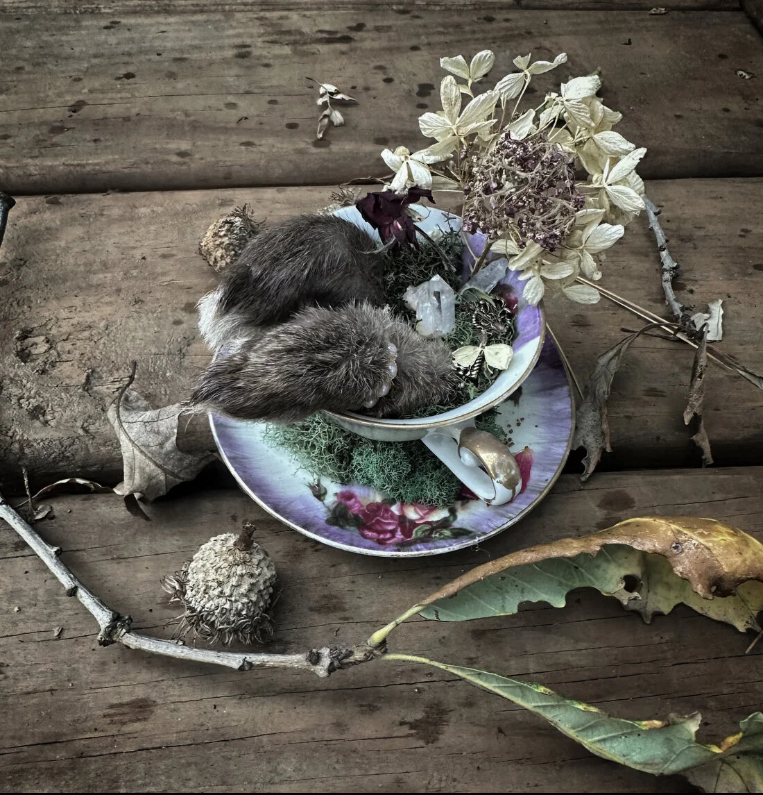 59F68ECE-3208-4E96-9EB1-DDBC60A100D4