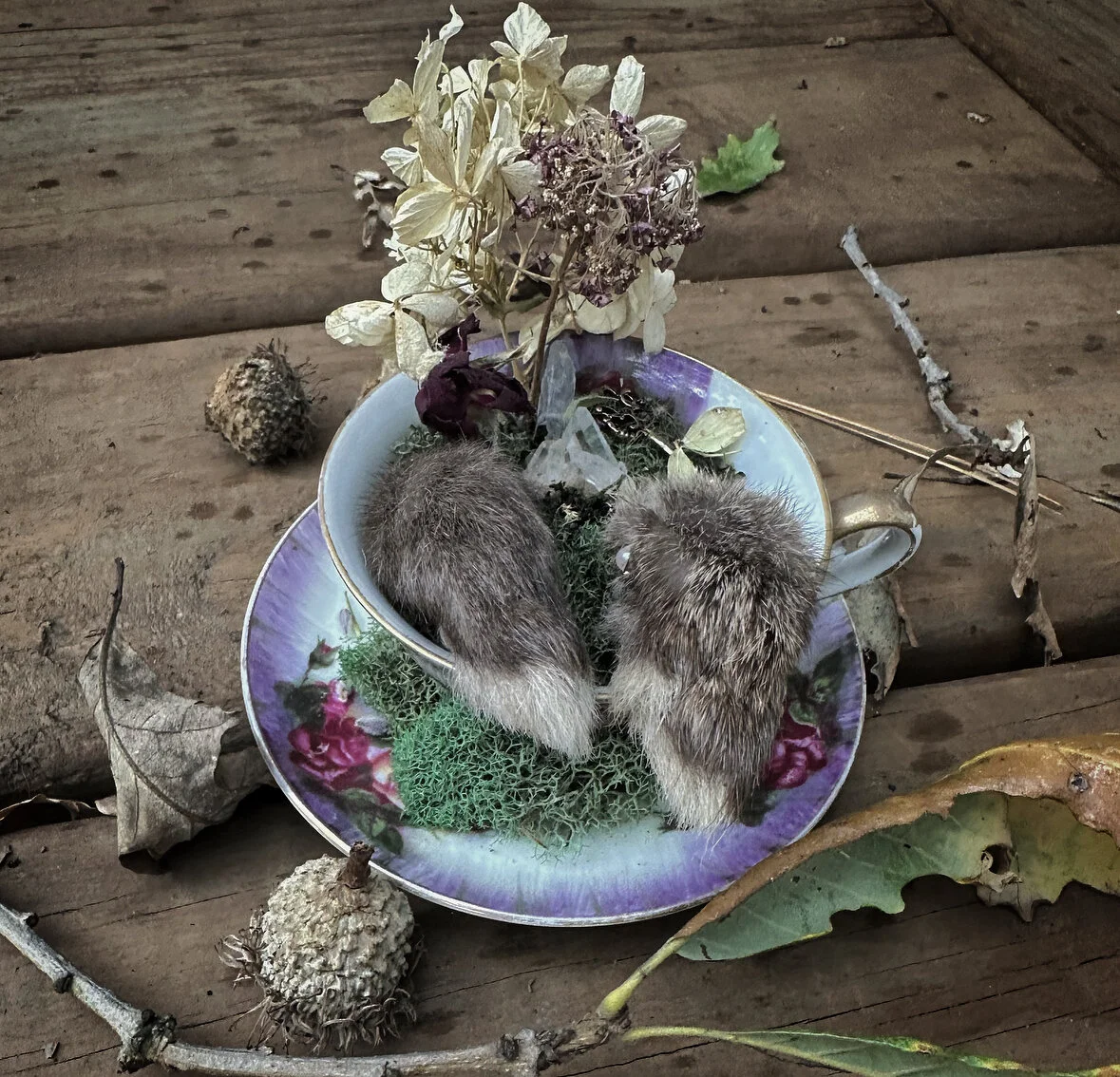 9568F187-7563-46E1-AB1B-9612C0A0AFD5