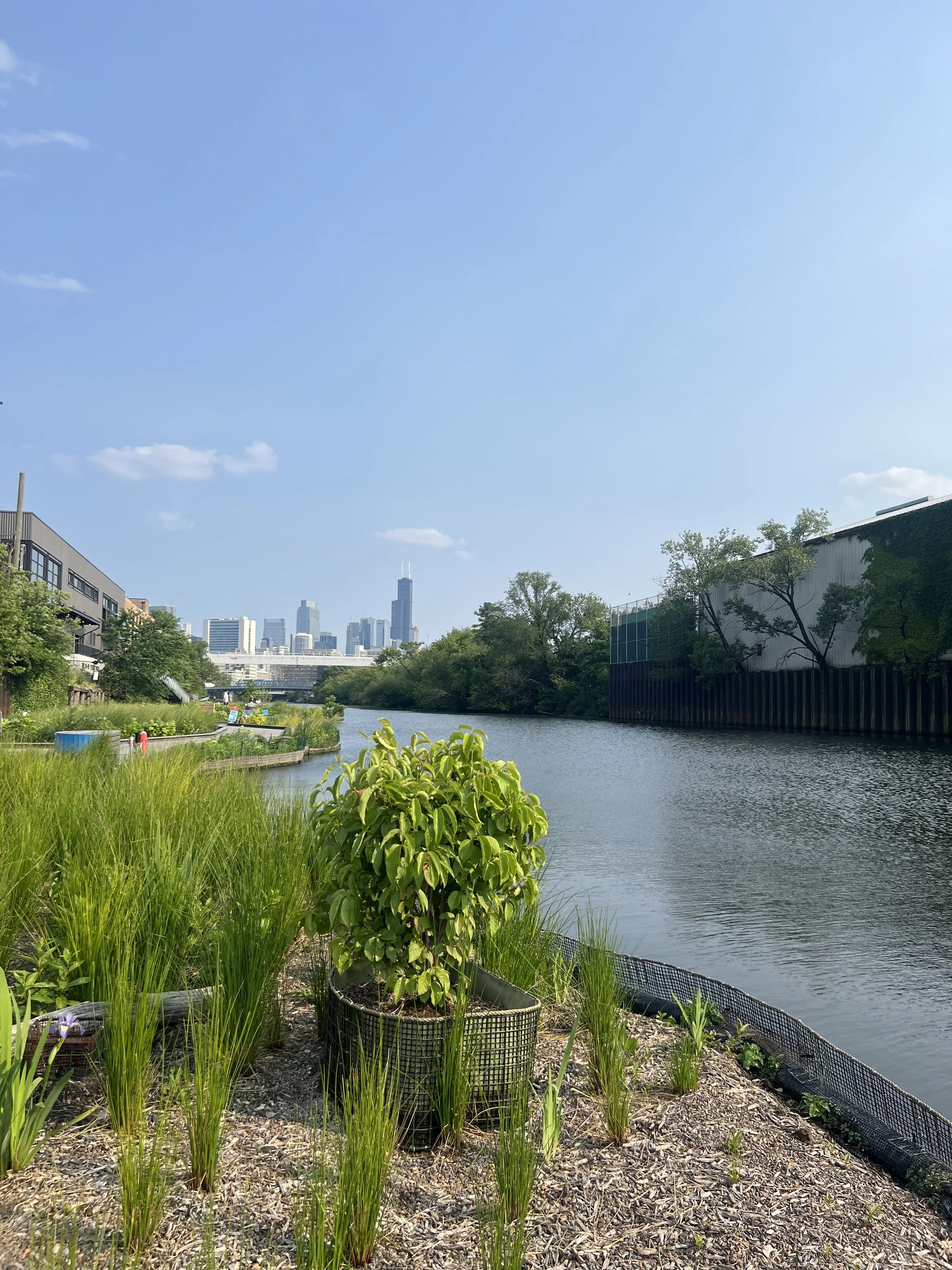 "Quittin' Time", Martha Nechvatal, 