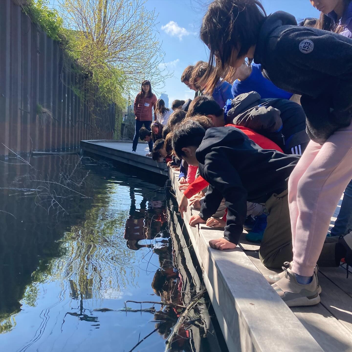 The weather is lovely and our outdoor season is starting up! That means field trips, programs and volunteer trainings. Check out our website to learn more about how you can get outside with us this spring and summer! 

#urbanrivers #wildmile