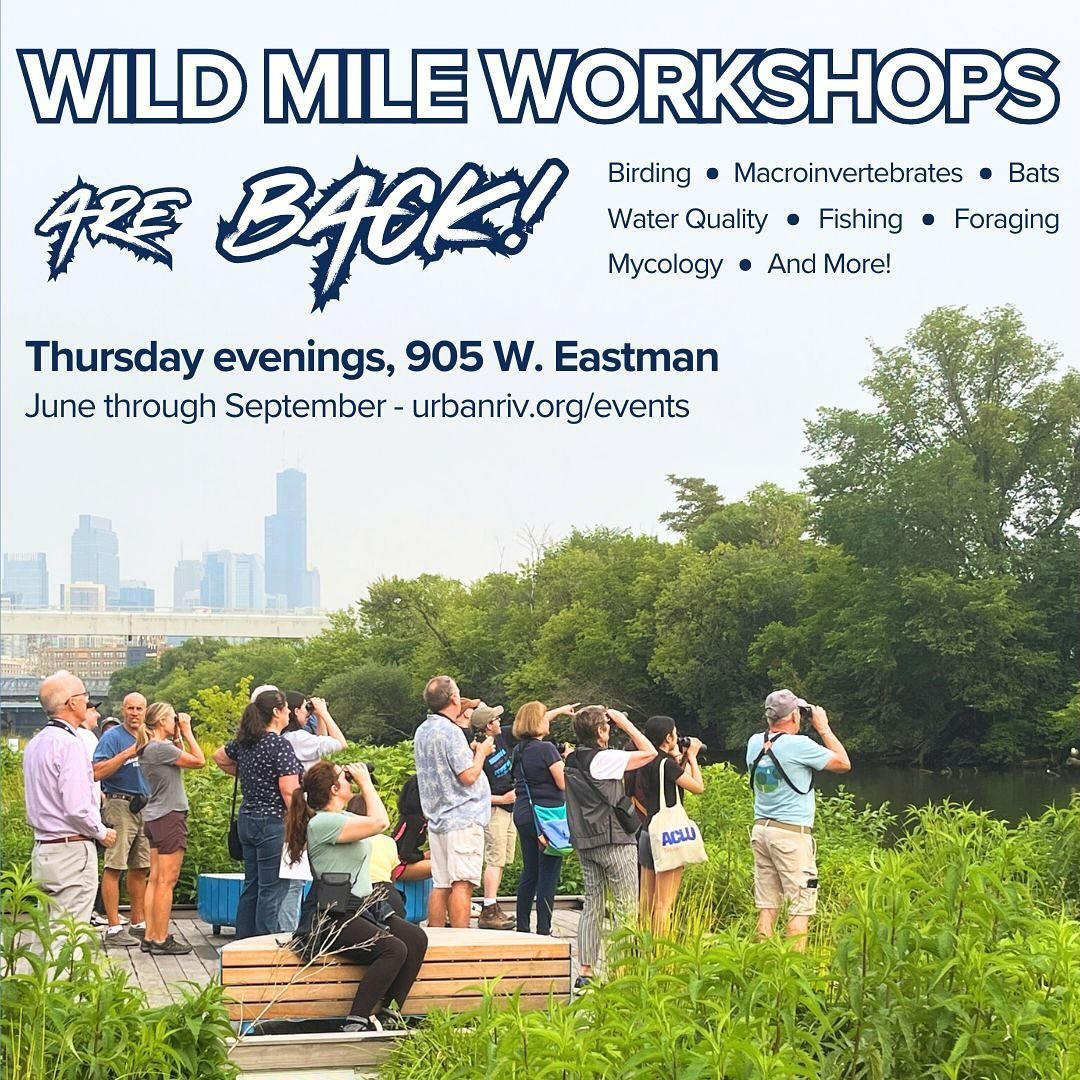 WILD MILE WORKSHOPS ARE BACK, BABY!!! Our summer workshop series features new community leaders each week, teaching topics related to ecology, stewardship, conservation, and more. These workshops are FREE and open to participants of all backgrounds a