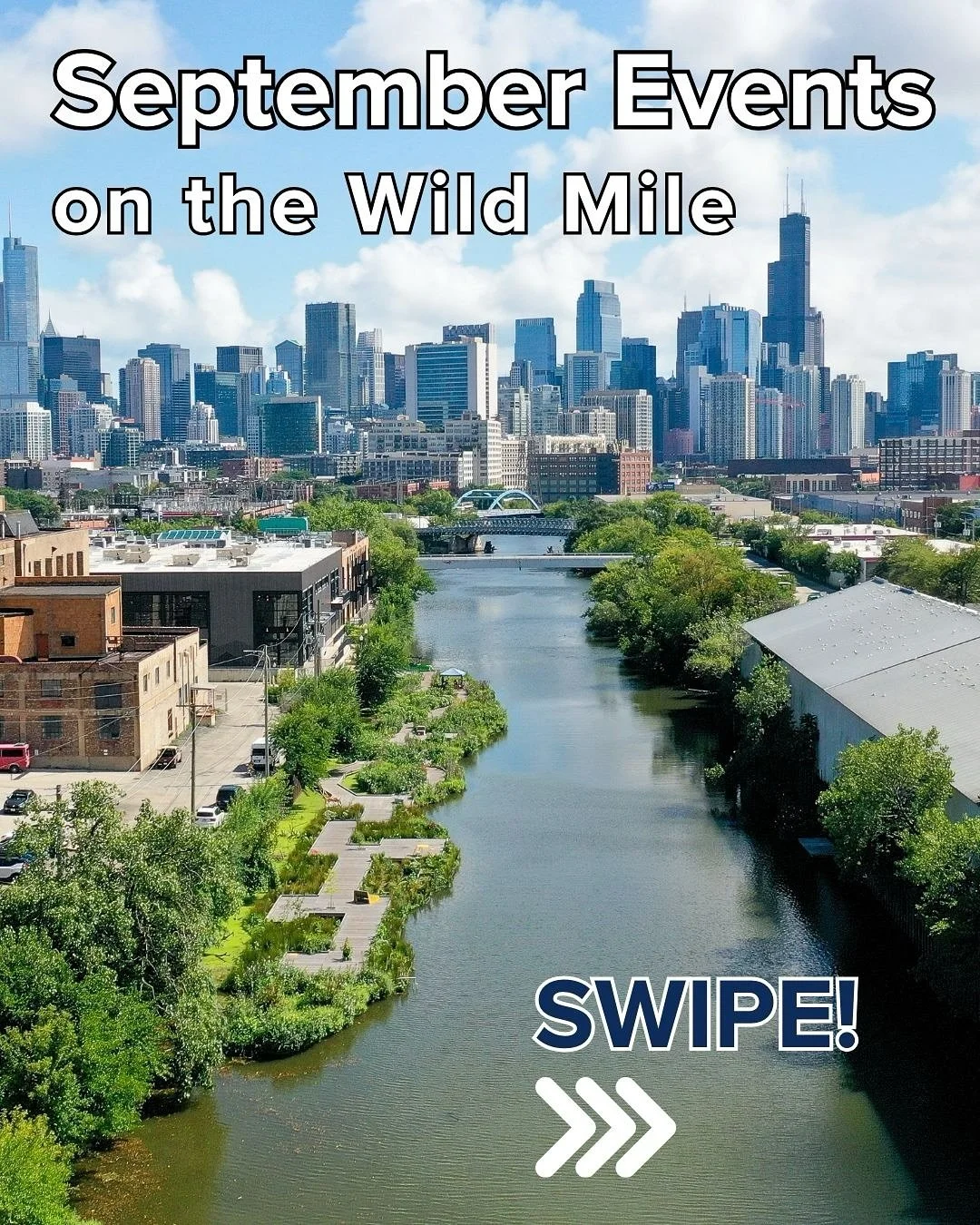 LAST CALL FOR SUMMER EVENTS!!!! With a wonderful crew of workshop leaders and some awesome partner events to close out the warmer months, the Wild Mile is stacked with cool events in the coming weeks! Learn to make medicine from native plants with @b