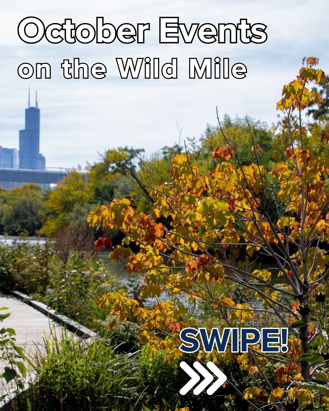 Plants, S&rsquo;mores, and cute dogs in costumes - do NOT miss October on the Wild Mile!! All event details and RSVP links can be found on our website - &ldquo;events&rdquo; through the link in our bio! 

#urbanrivers #wildmile #freeevent
