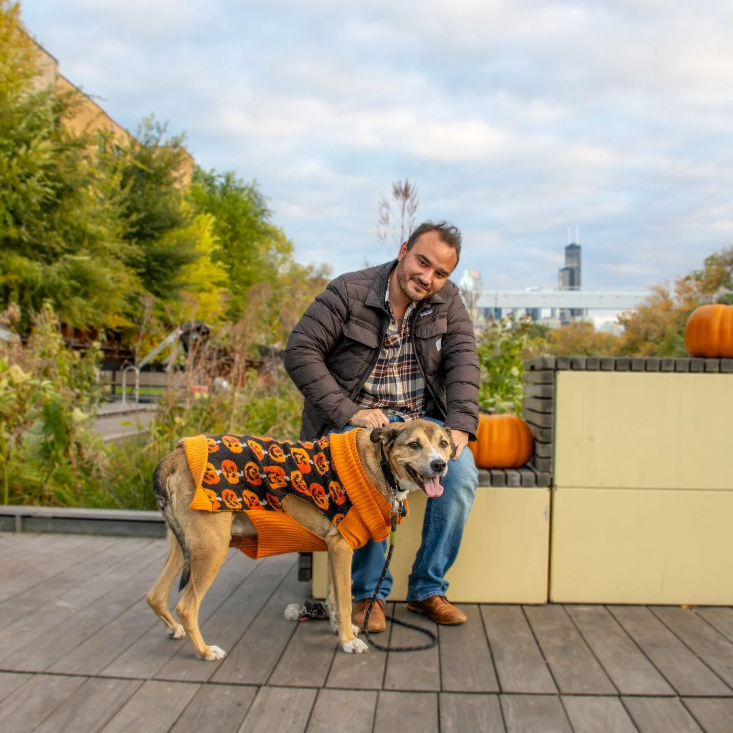 Our third annual Howl-oween Canine Costume Contest was our most well-attended to date! With a highly competitive pool of fabulously-dressed dogs, our judges had a tough task. Finally, our winners emerged!!

🏅First Place: Nora the Grouch

🥈Second Pl