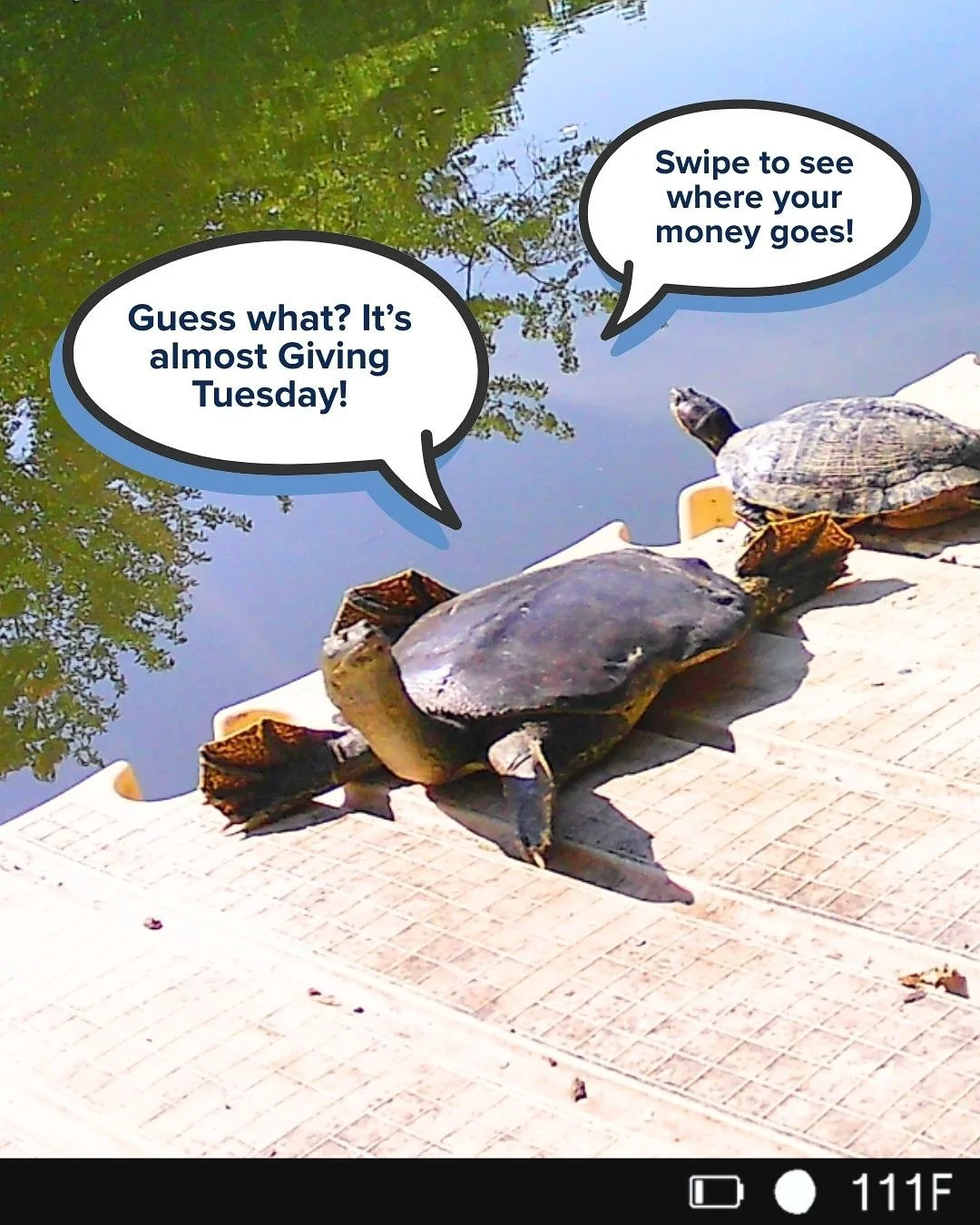 Giving Tuesday is rapidly approaching - donate at the link in our bio to help us hit our goal of $15,000 to support urban waterways by December 2nd! 🎉

Still not convinced? Here&rsquo;s a closer look at exactly how your donation will be used. These 