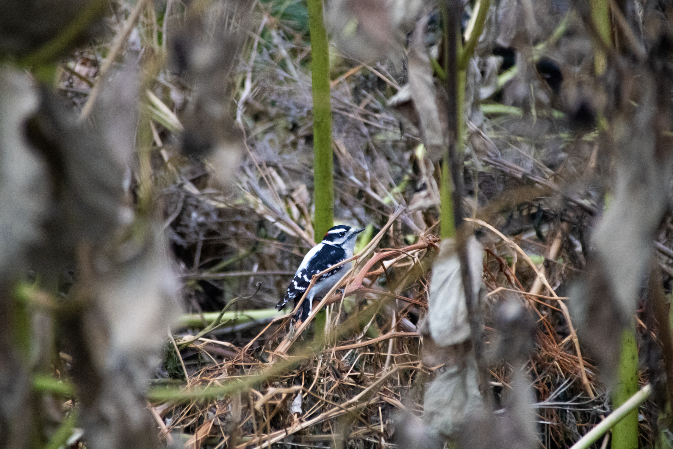 2025 - Gratitude and Reflection ❤️