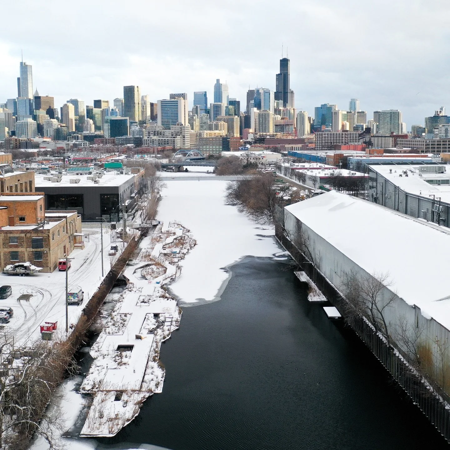 For those of you enjoying fool&rsquo;s spring&hellip; DON&rsquo;T GET TOO COMFORTABLE!!!! We&rsquo;re not there just yet!! 

Fortunately, the Wild Mile (and all the lovely wildlife it hosts) are weathering the chilly season just swimmingly. We freque