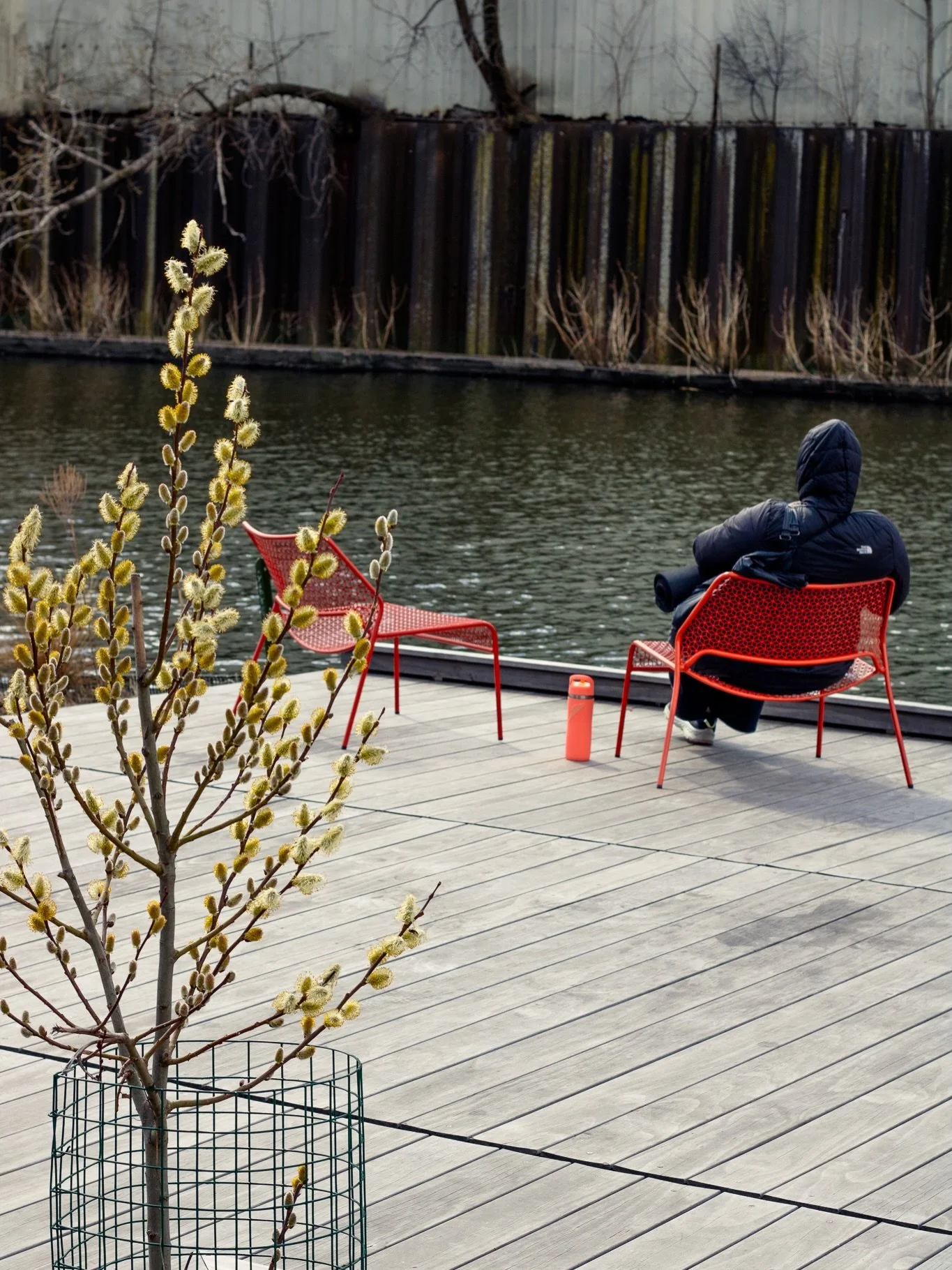 Spring is right around the corner! Swing by the Wild Mile to check out all the lovely new growth! Or at least, everything that hasn&rsquo;t already been mowed down by the muskrats :)