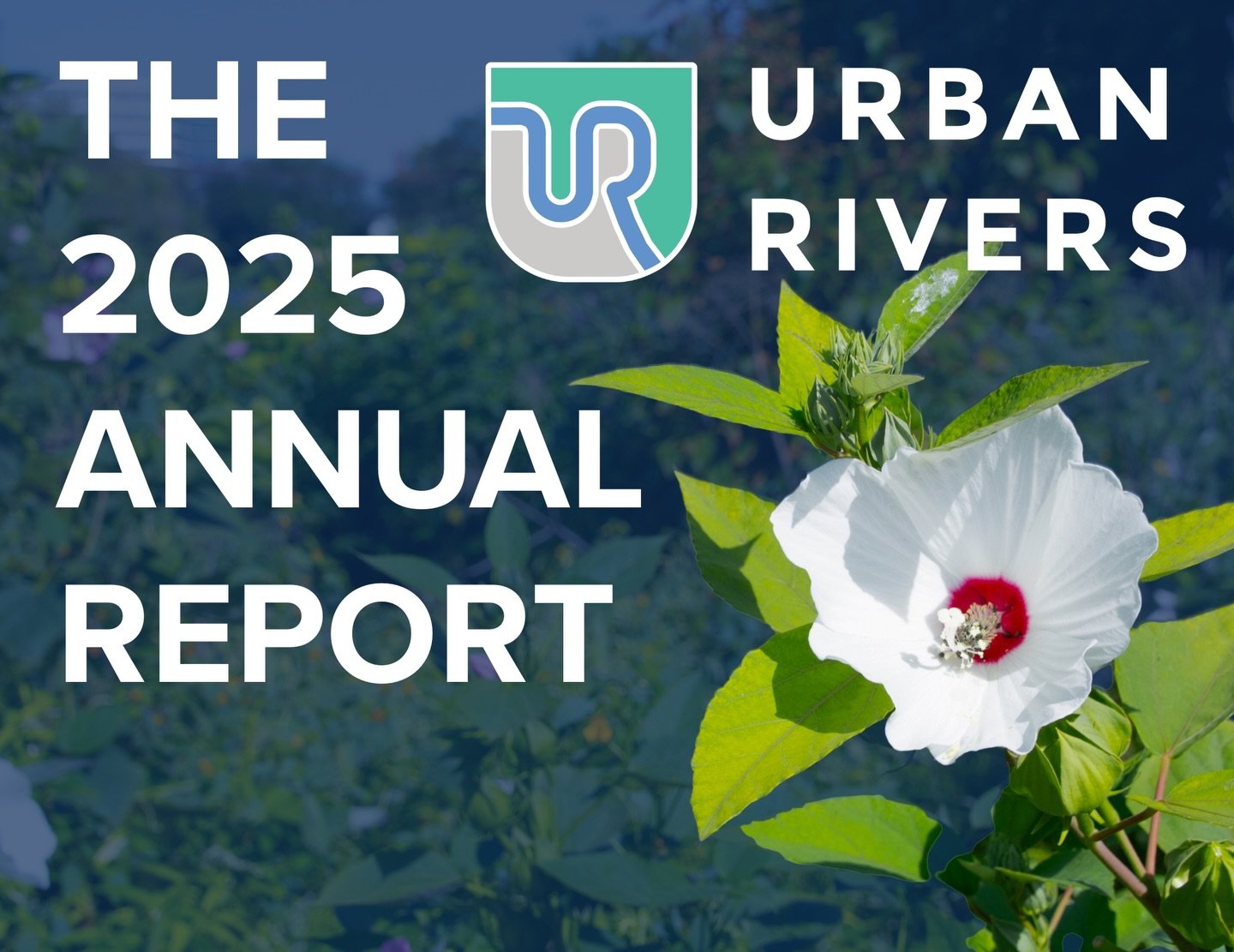 In case you missed it&hellip; our 2025 Annual Report is out!! It has bugs, plants, river, and pretty much all the other cool stuff we&rsquo;re known for. Check it out - link in our bio!