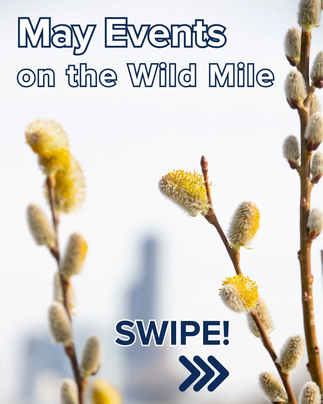 It&rsquo;s time - Wild Mile events are ramping up again!! (We&rsquo;ve actually had stuff going on this whole time, just not enough to merit a calendar post). Join us for fishing, yoga, an otter celebration, and much more!