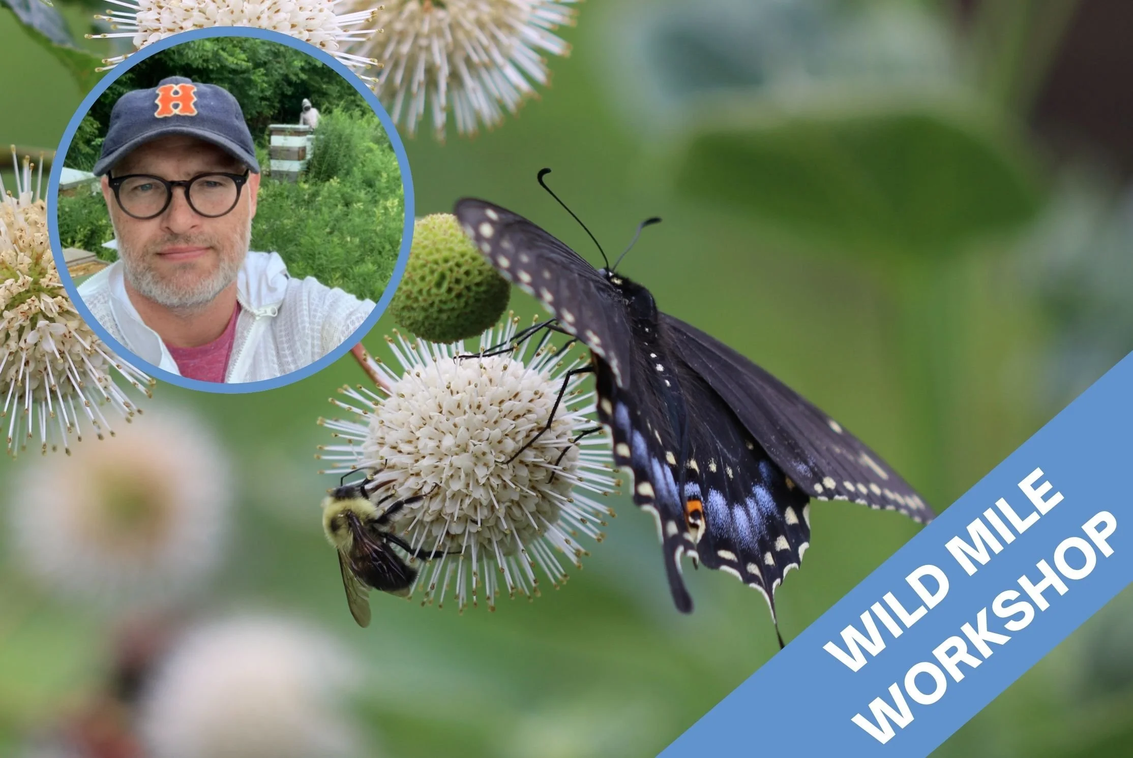Workshop: Pollinator Walk With Hive Supply Co
