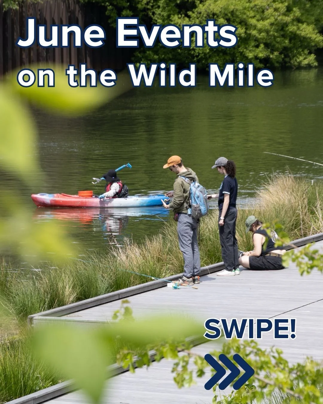 Summer programs are HERE!!! Our Wild Mile Workshop series is back for the season, starting off strong with yoga this Thursday! Bird enthusiasts, don&rsquo;t miss the Midsommer QWOK! All our events are FREE and open to everyone! 🦫🎉🌸💚