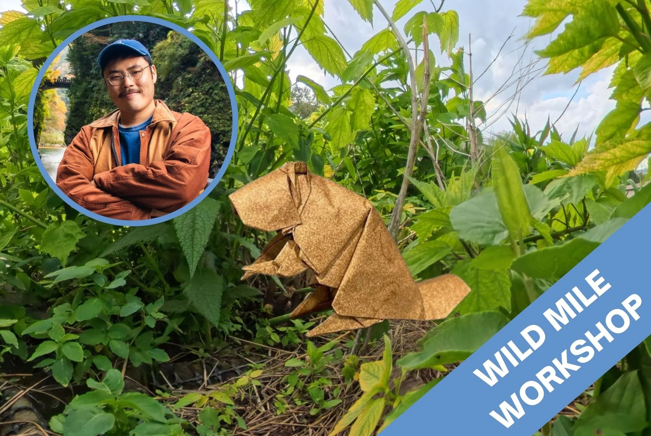 Workshop: Native Fauna Origami with Ty Yamamoto