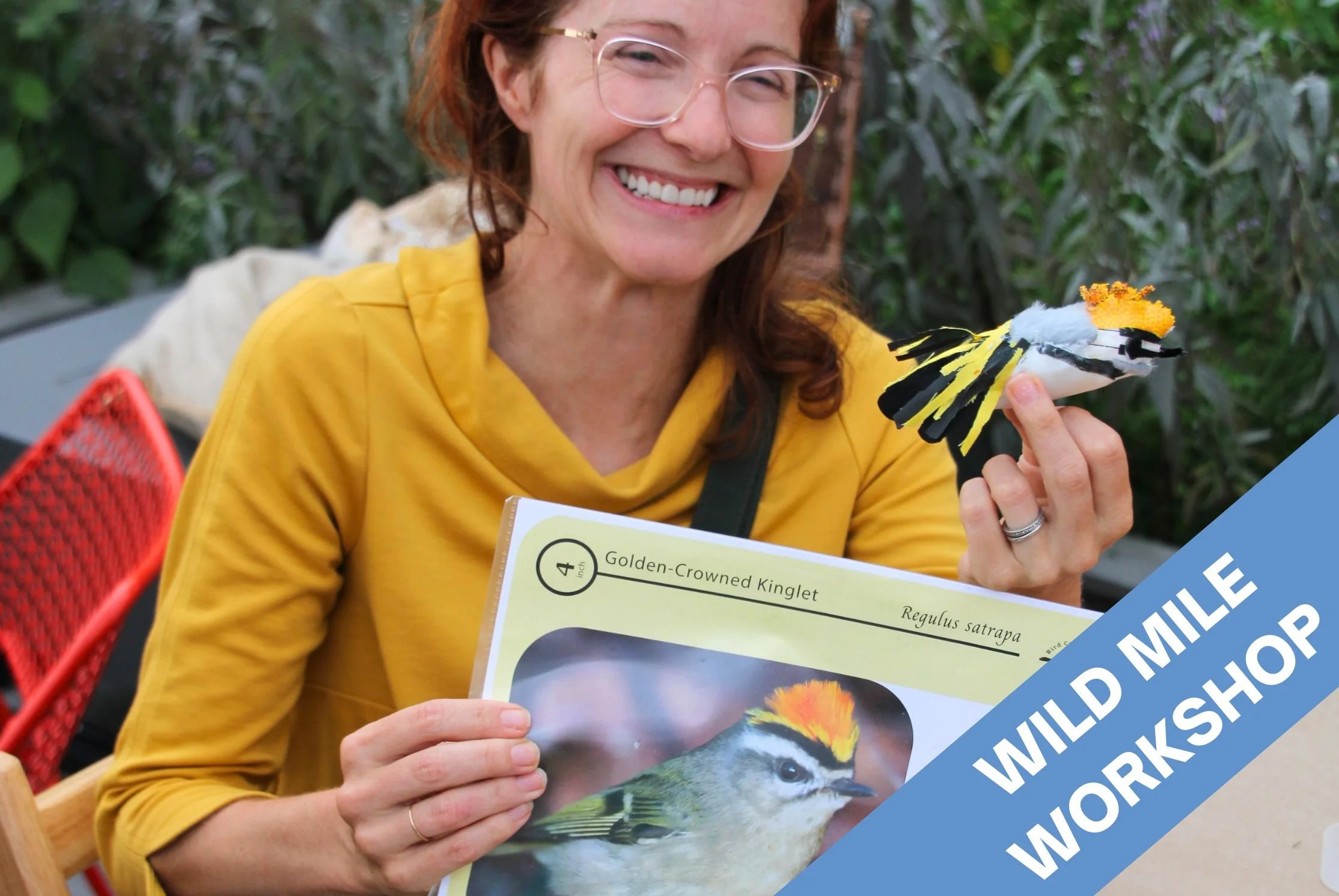Workshop: Bird Collision Workshop with Holly Greenberg And the Chicago Ornithological Society 