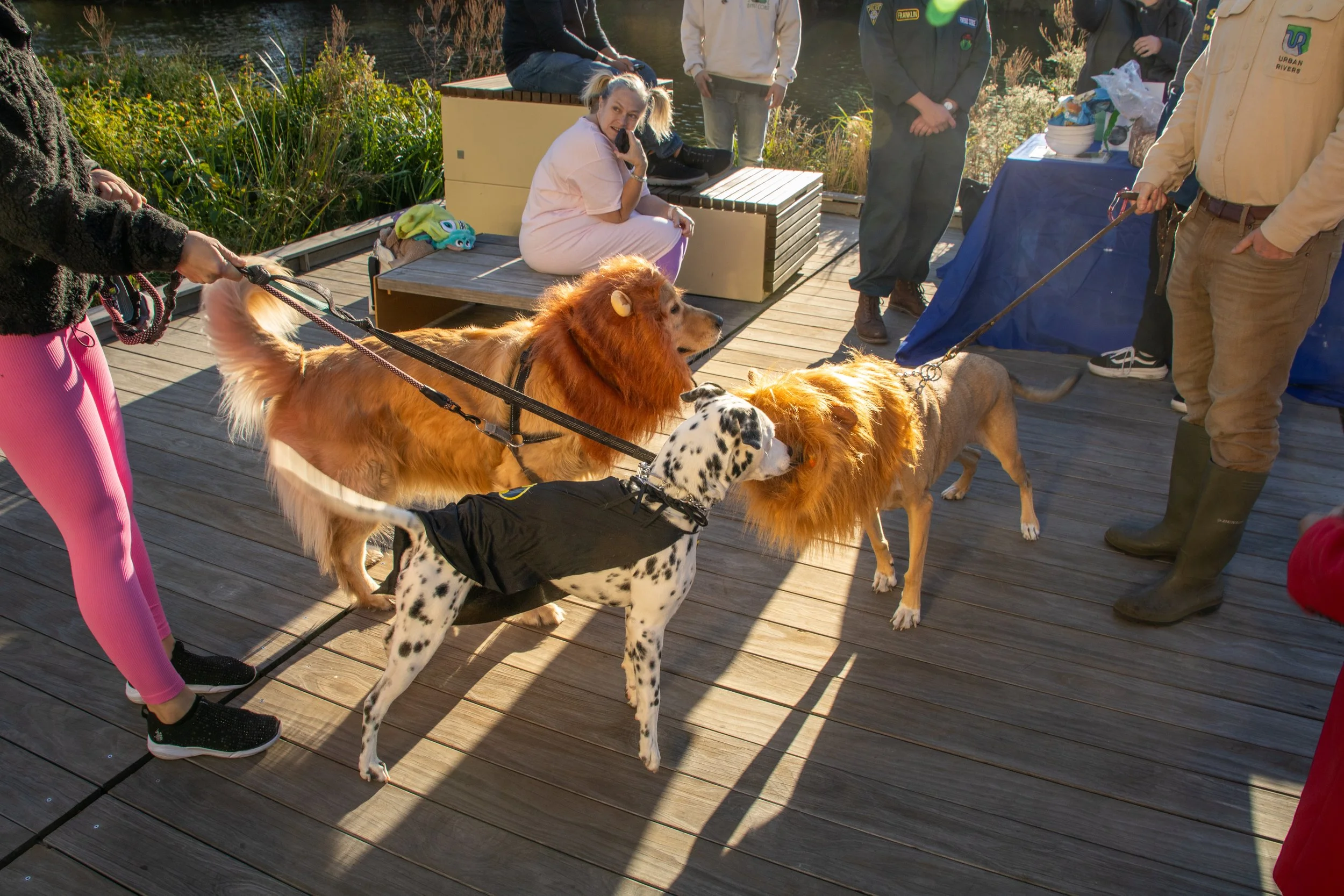HOWL-OWEEN!!! (canine Costume Contest)