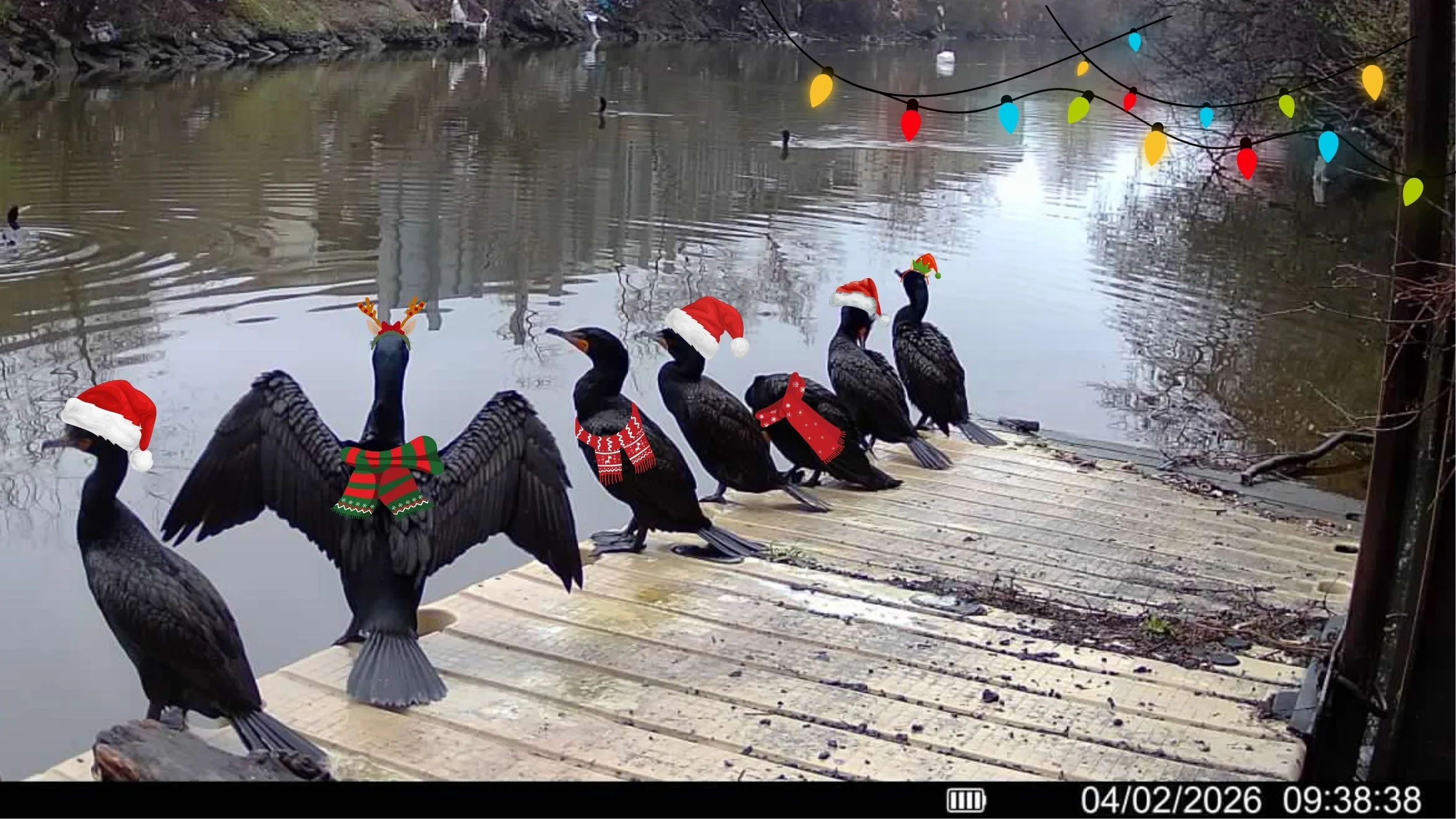 River Ranger Social - Holiday Party!