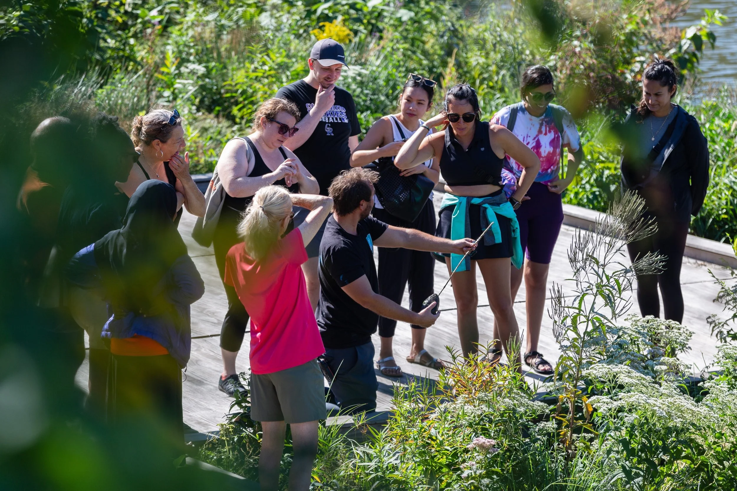 Education — Urban Rivers