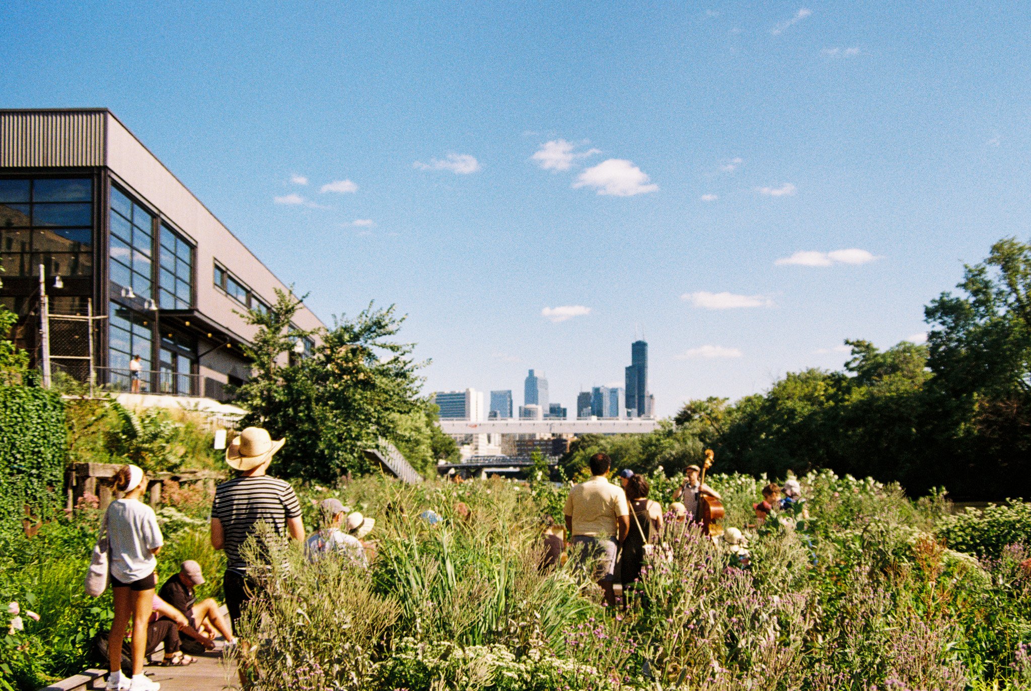 "Wild SMILE", Gabriela Gallegos