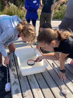 Our Mission — Urban Rivers