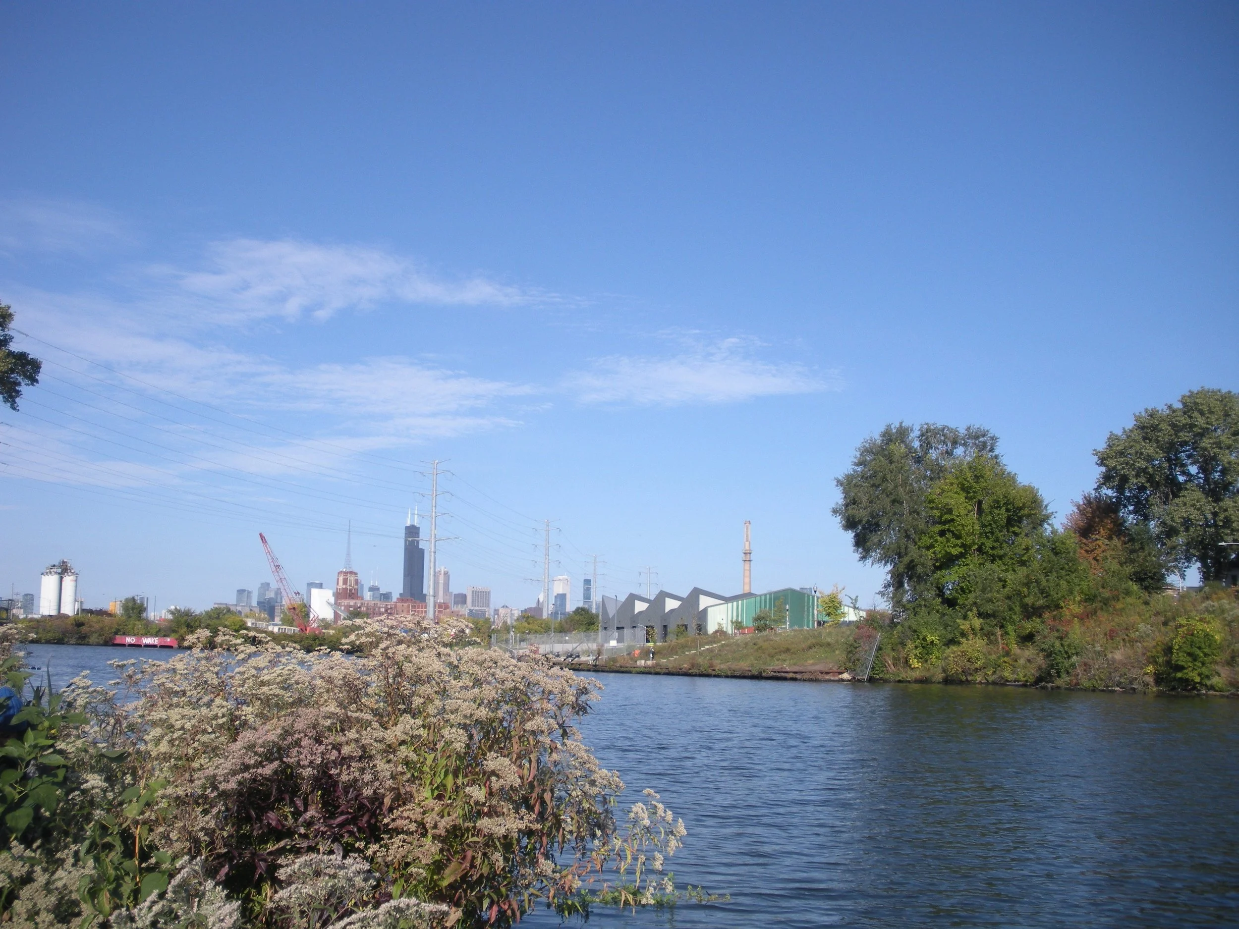 "Floating at Autumn’s End", Lily Ding, IG: @lilyding224