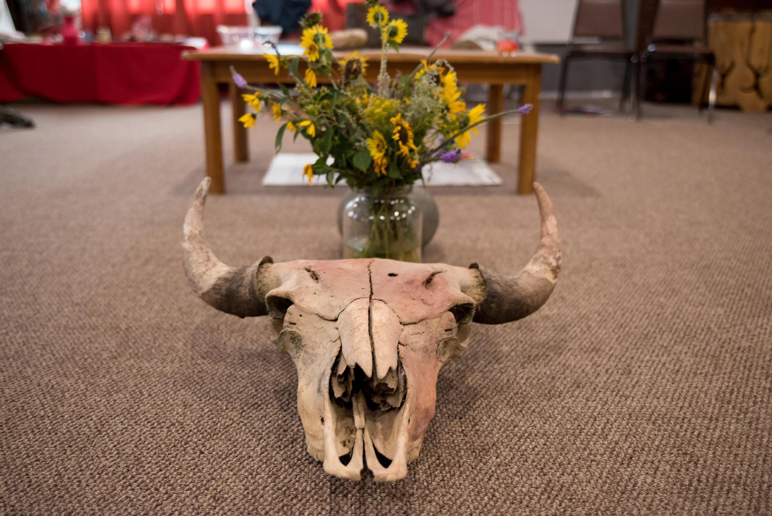 DSC_6407.jpg