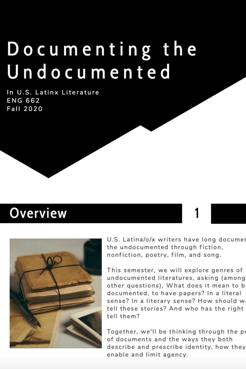 Undocumented Literatures