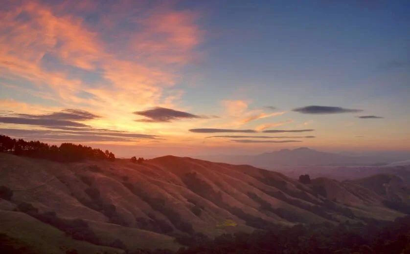 SF WEEKLY x KIN SLIPS