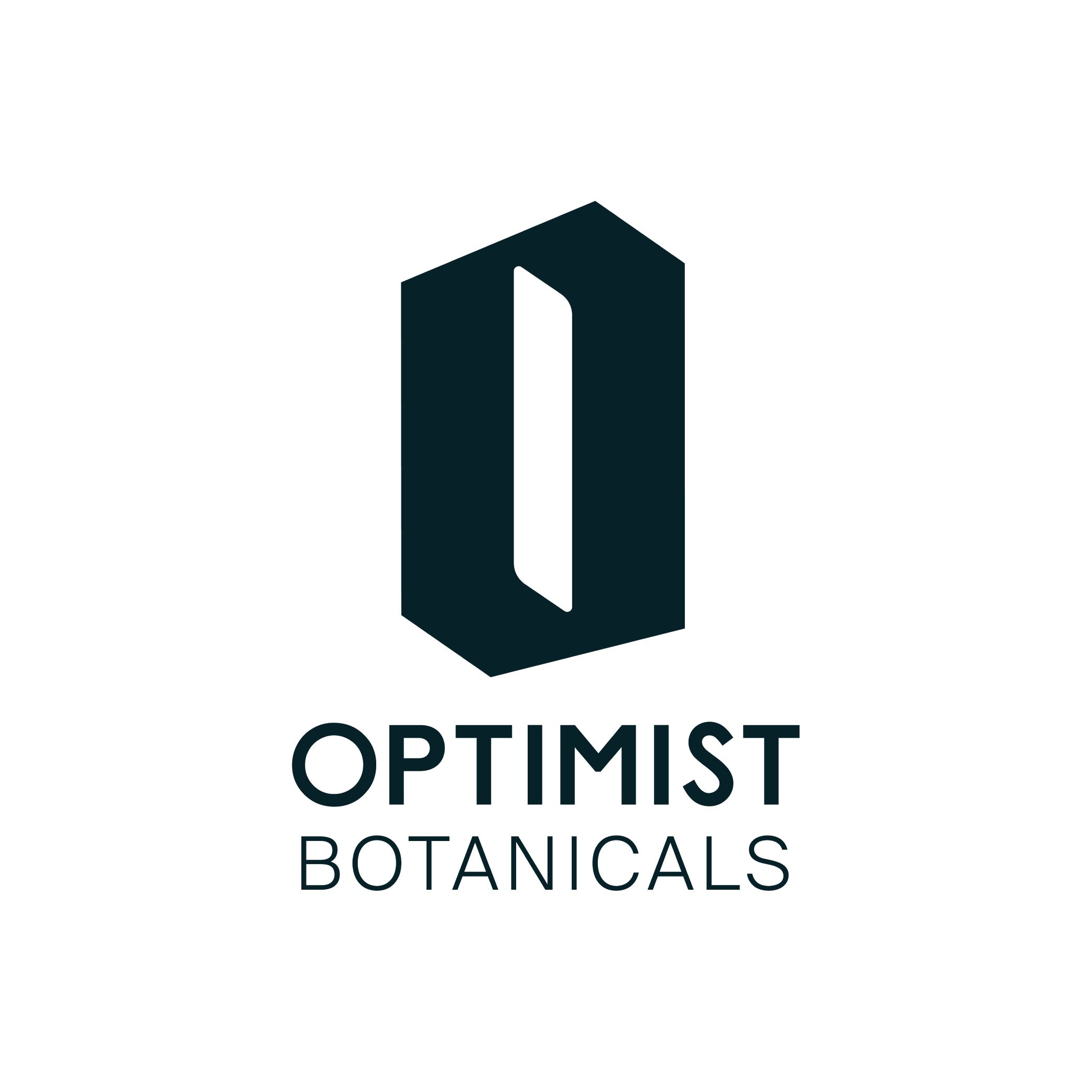 OptimistforSite-01.jpg
