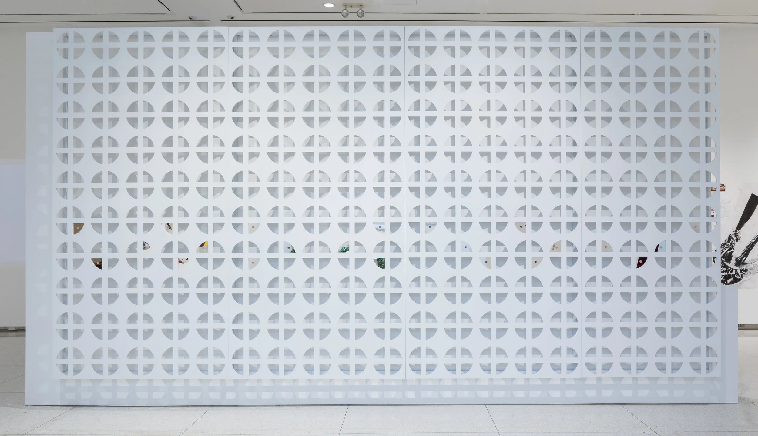Installation view of Edra Soto’s GRAFT (Cuba) in Cross Currents/Intercambio Cultural at the Smart Museum of Art.. Photo by Michael Tropea.