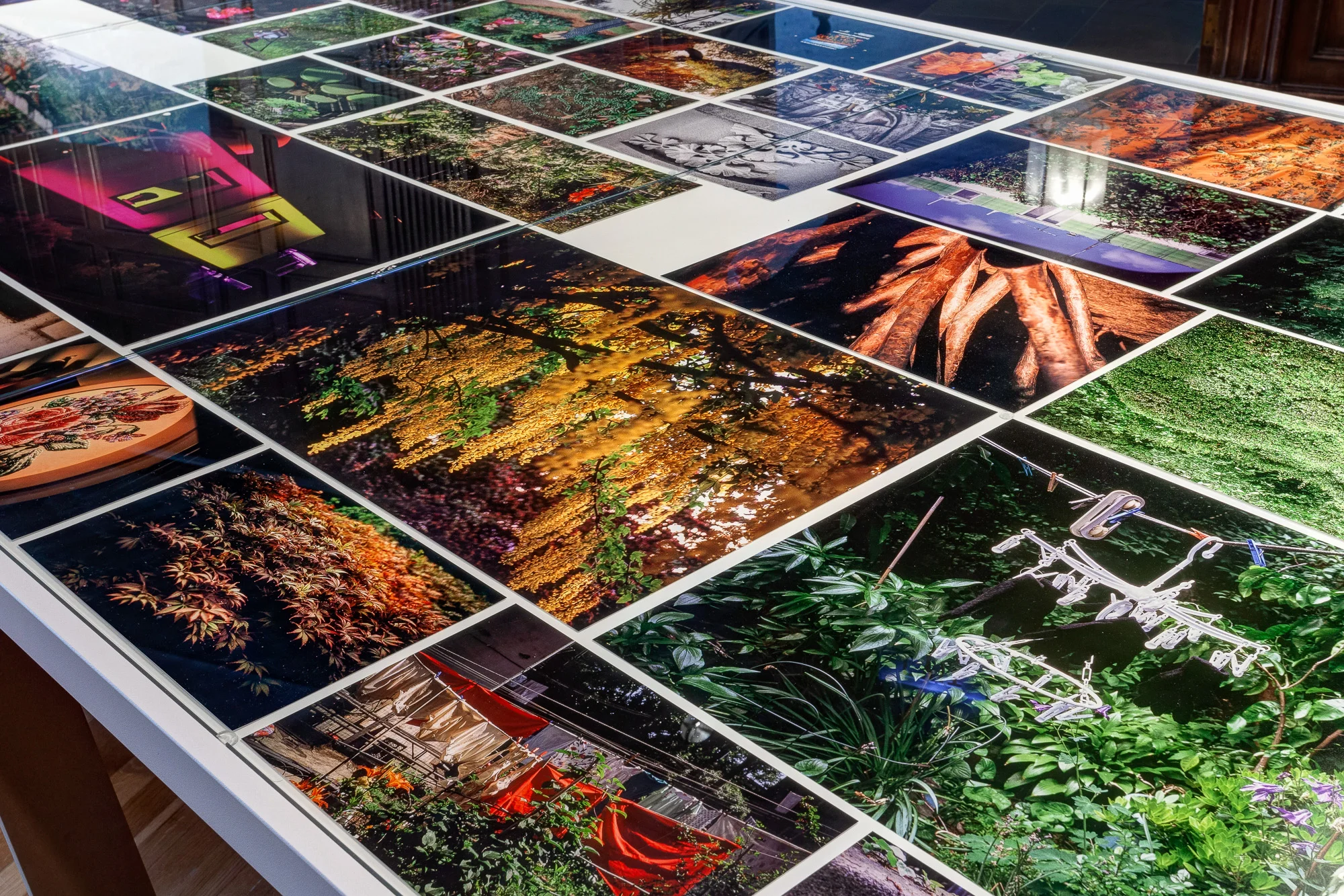 Repotting Constructions of Beauty With Passionate Signals