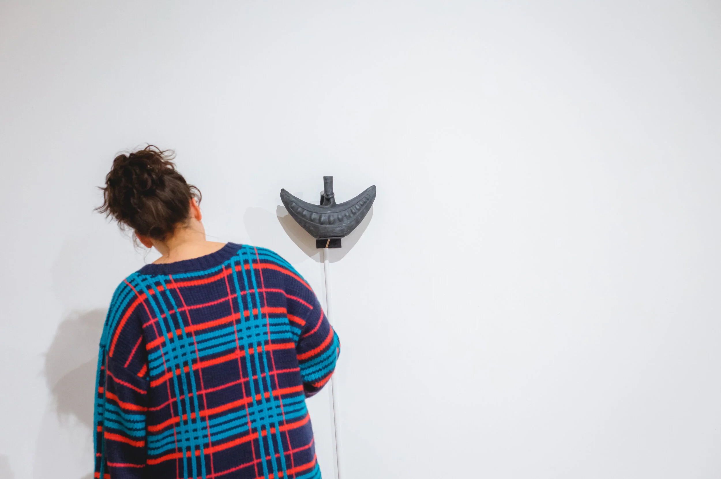 New Exhibition at Logan Center Gallery Highlights Groundbreaking Collaboration with Field Museum