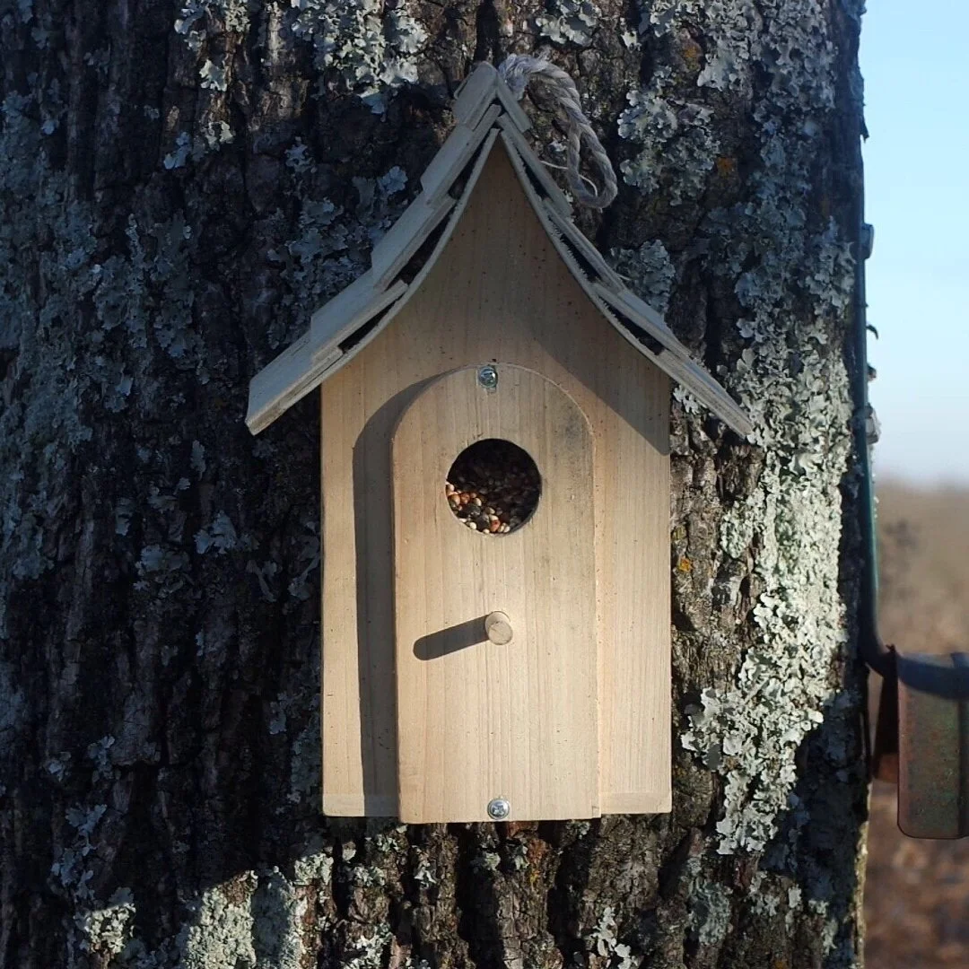 Artist and Professor William Pope.L wants students to "work hard, work harder, then work harder still"