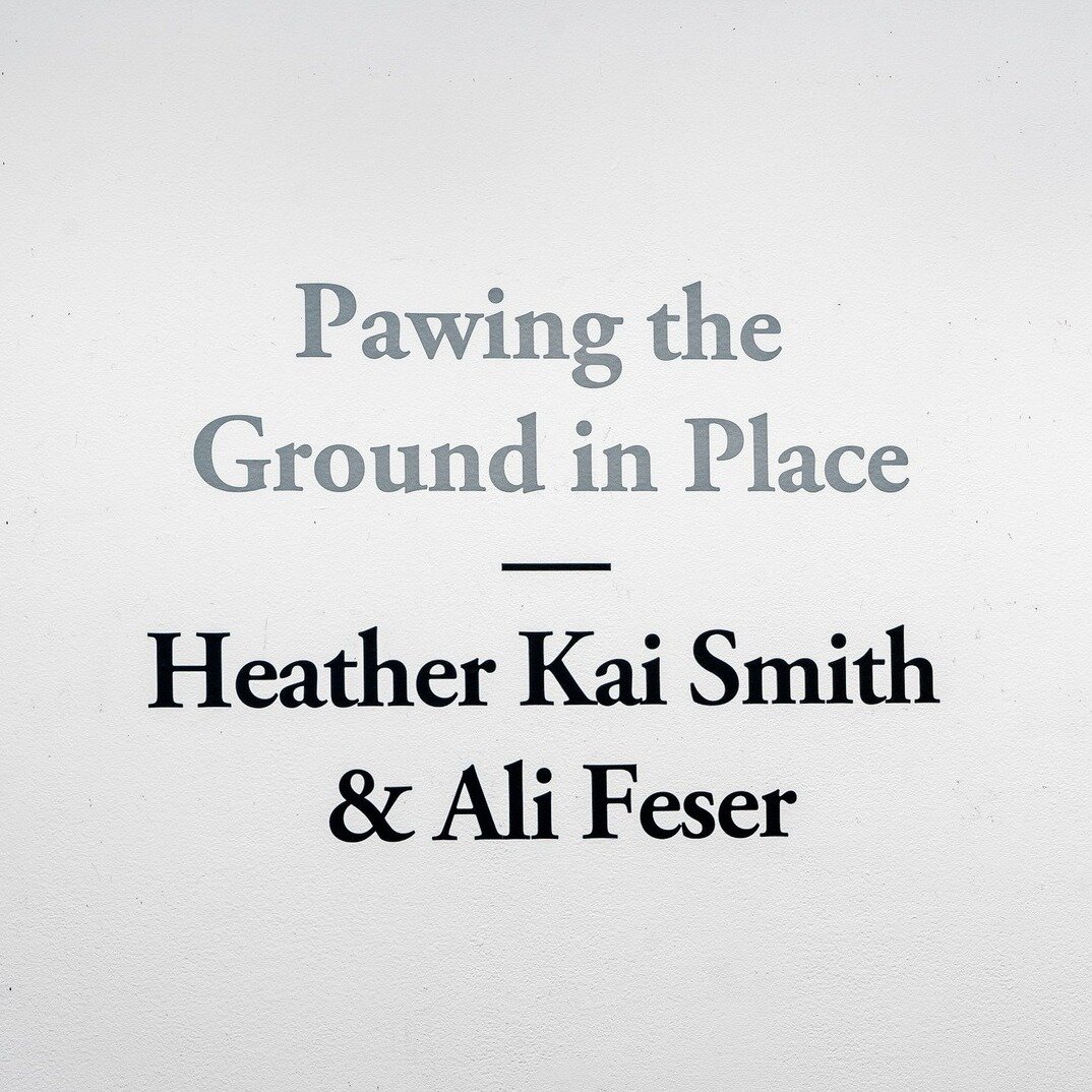 LAST CHANCE! &quot;Pawing the Ground in Place&quot; featuring new work by Heather Kai Smith and Ali Feser closes MARCH 5TH 🗓 
.
@heatherkaismith and @alifeser use drawing, projection and installation to consider representations of utopian fantasy an