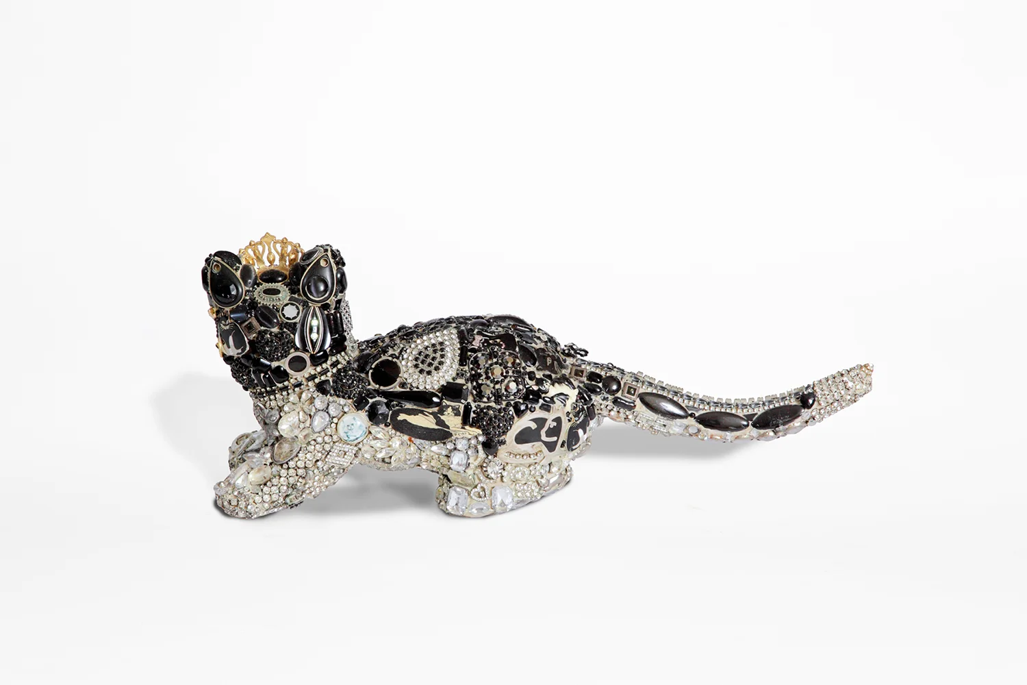 Colfax Glamour Puss - rear view