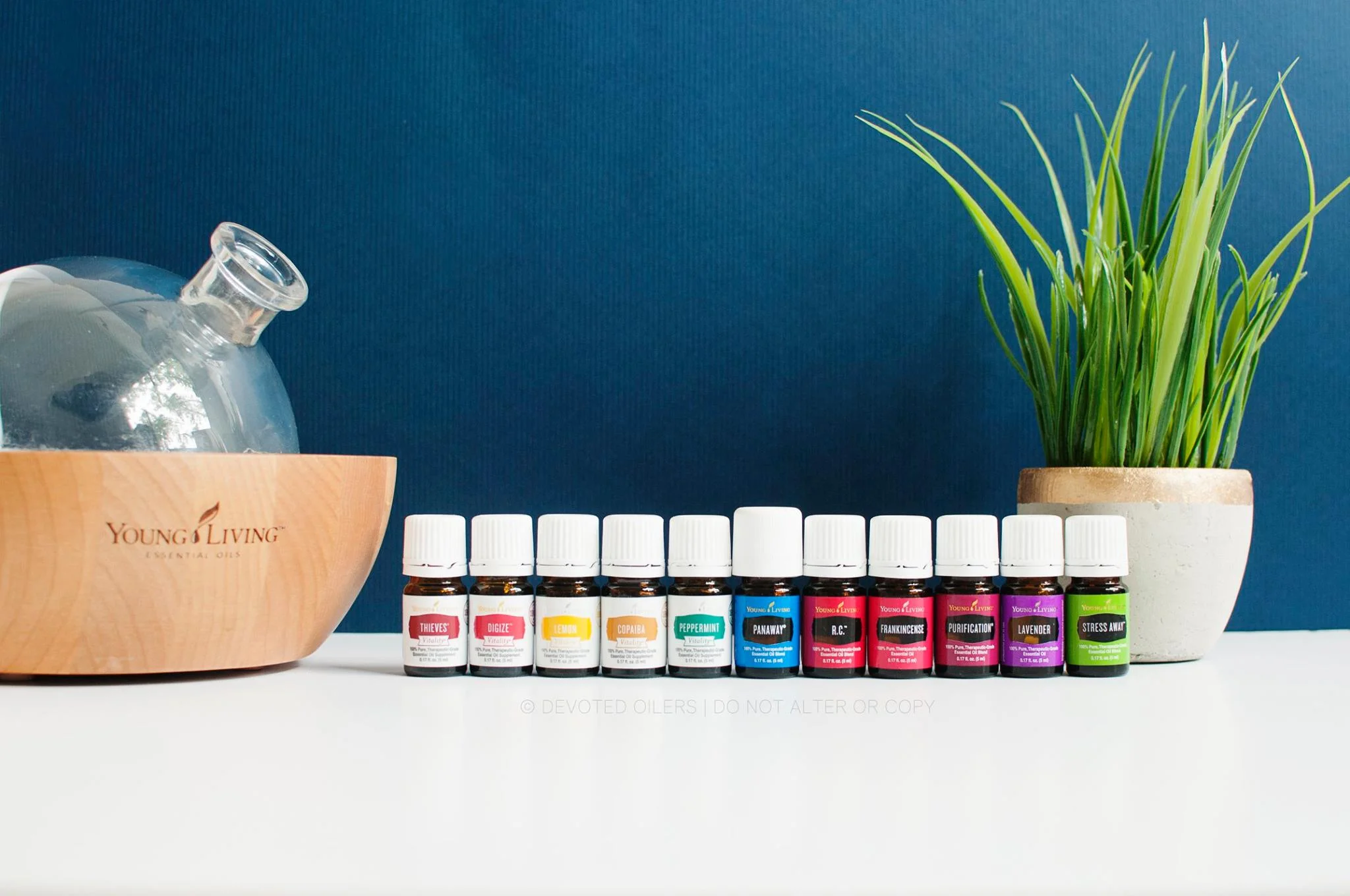 Starter Kit Oils Website Image.jpg