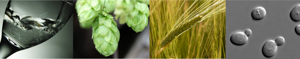 Los 4 ingredientes más importantes de las cervezas modernas son: agua, lúpulo, malta de cebada y levadura. Algunas personas creen que la cerveza sólo puede tener 4 ingredientes debido a la Reinheitsgebot.