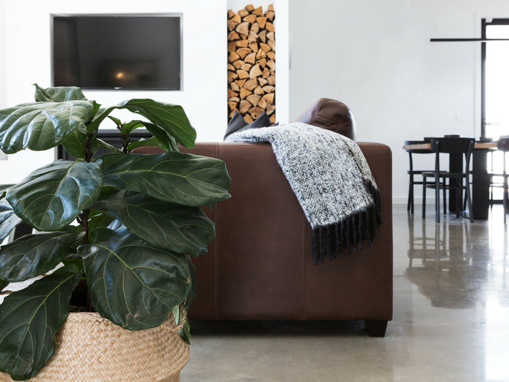 homedecor.jpg