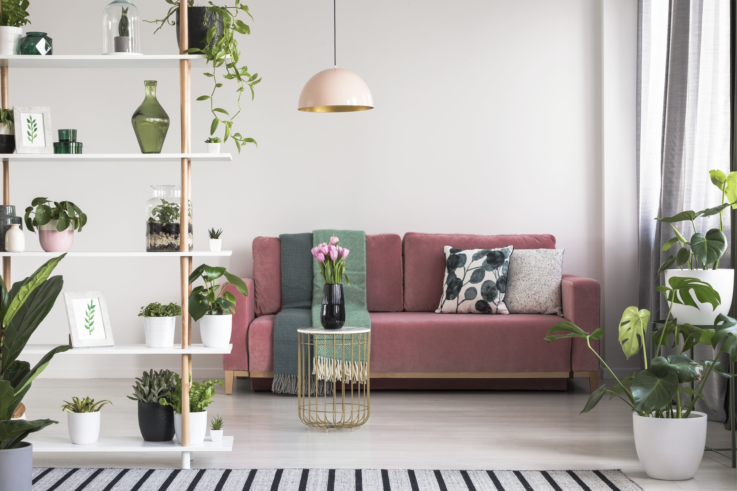 AdobeStock_213605706.jpeg