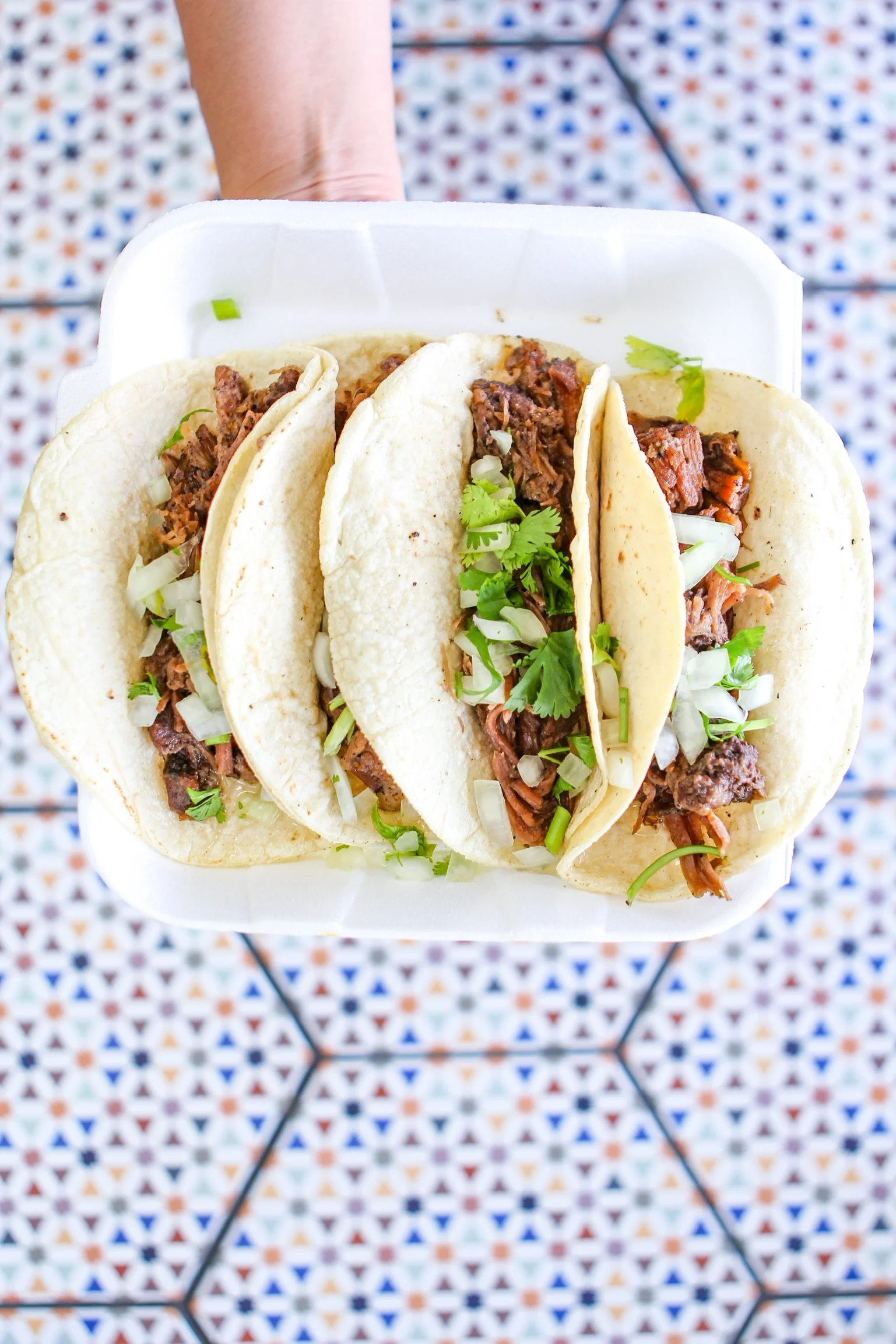 Copy of IMG_6187.JPG