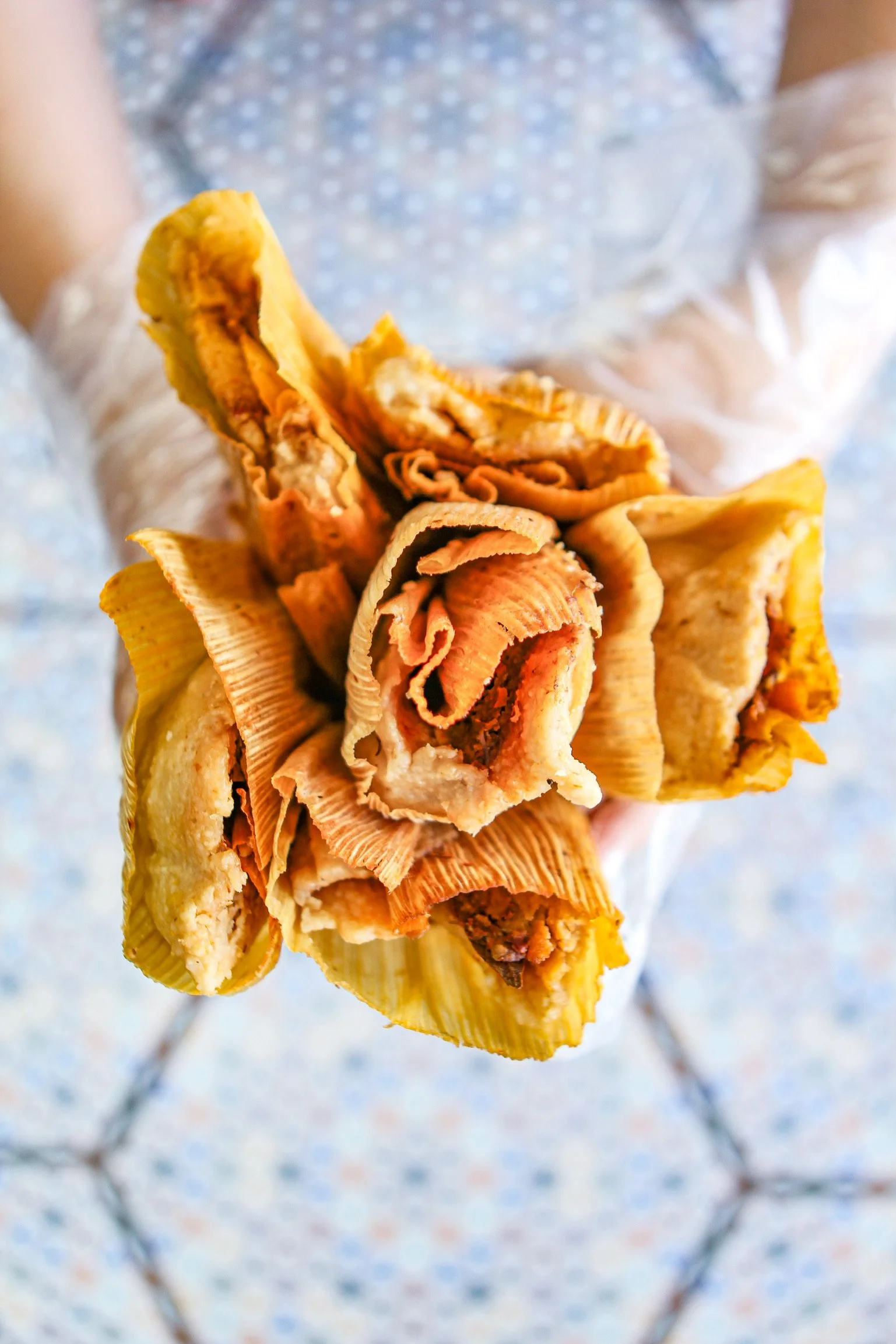 Copy of IMG_6146.JPG