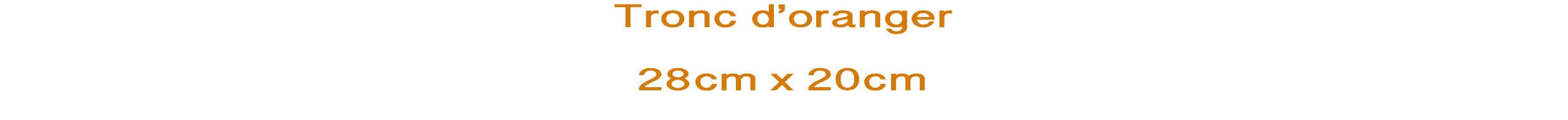 Tronc d'oranger.jpg
