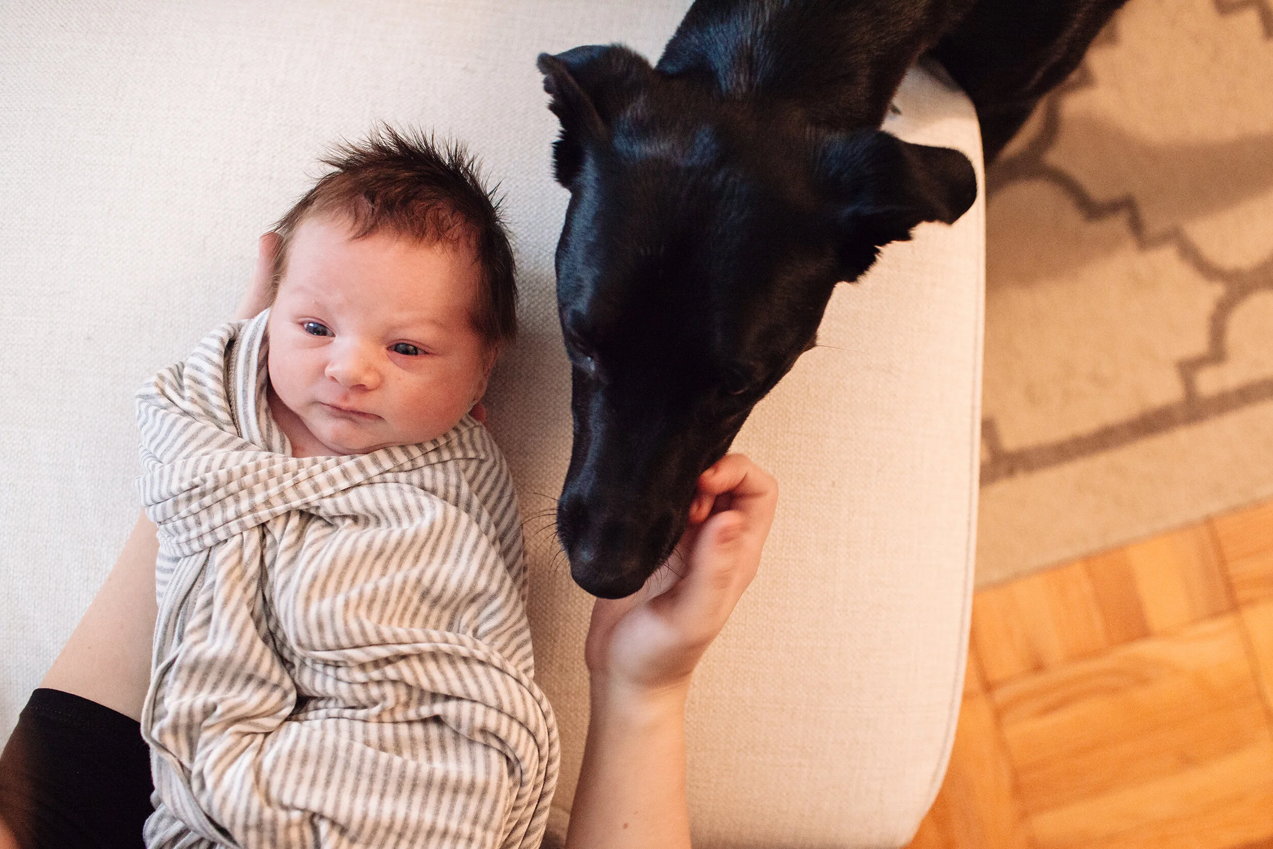 BabyJack-79.jpg