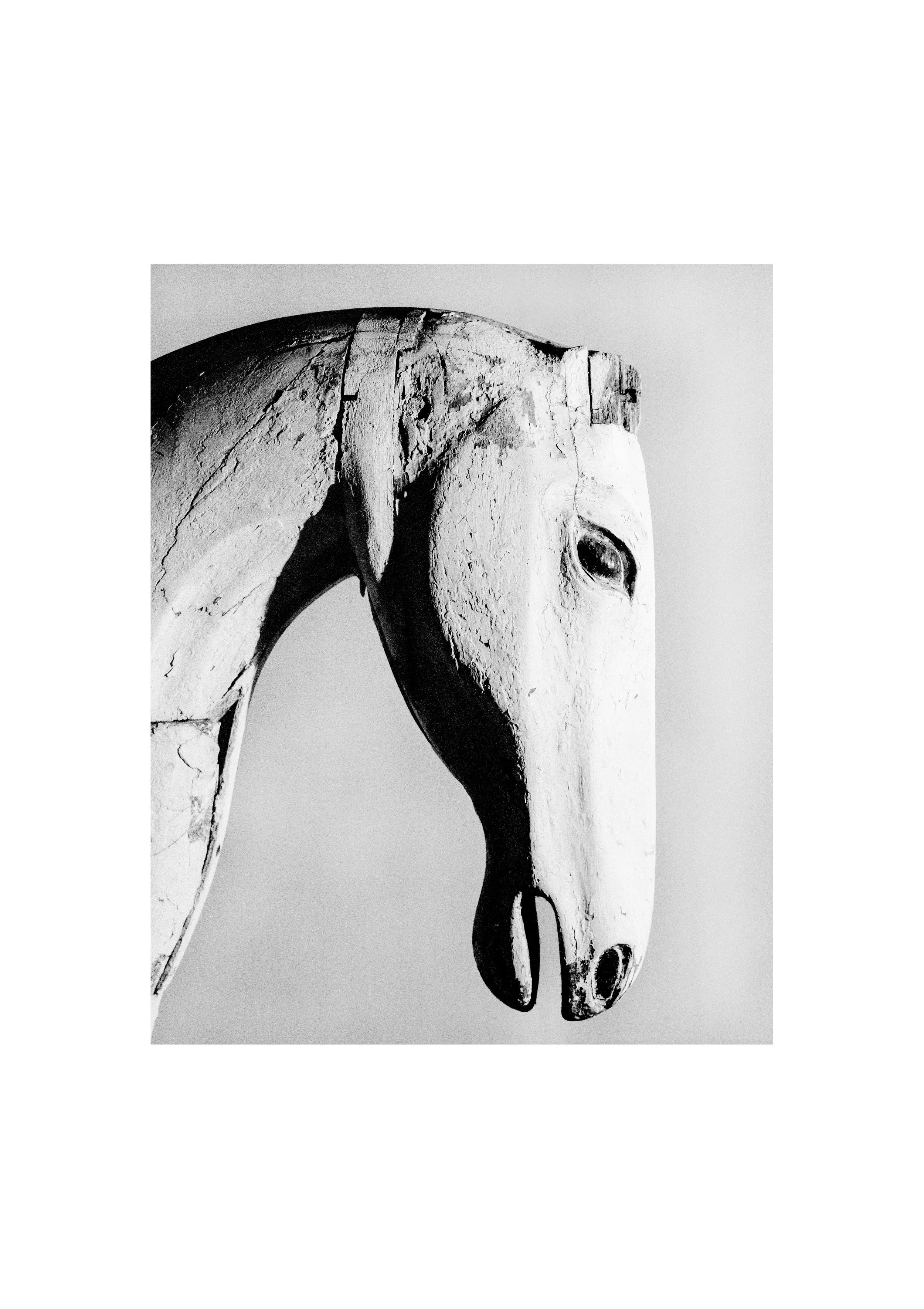 (A1)Horse02.JPG