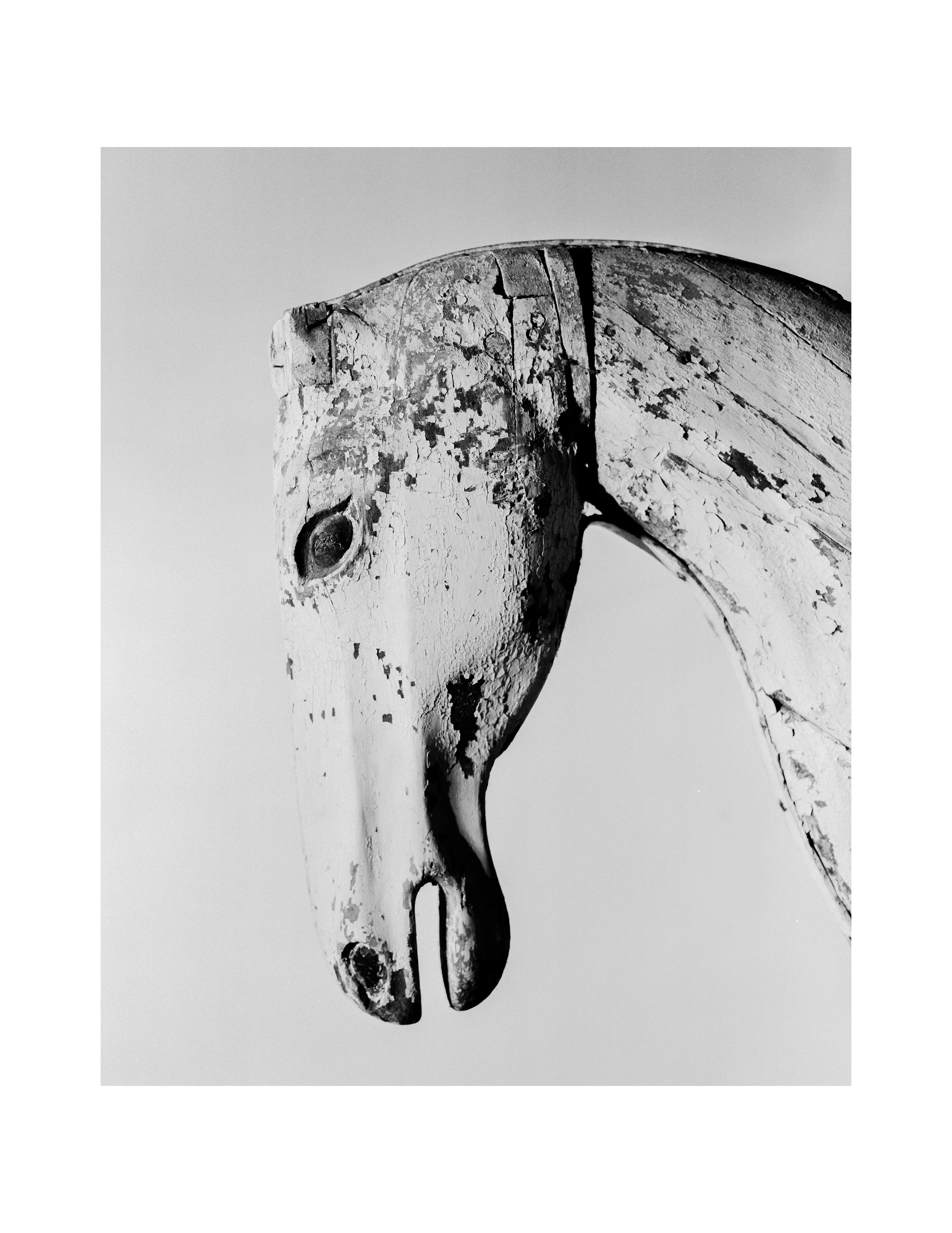 (A1)Horse03.JPG