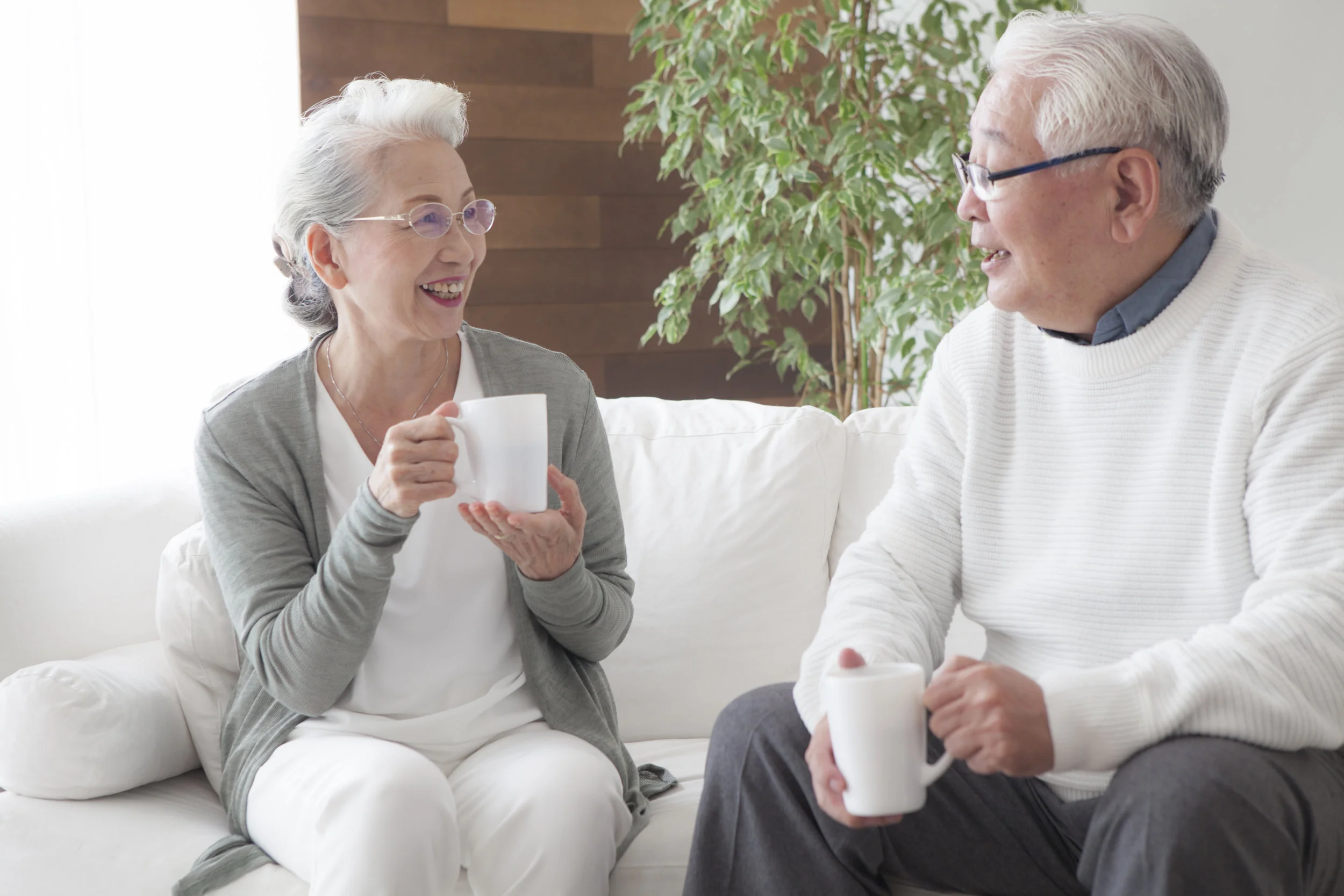 Asian Elder Law.jpeg